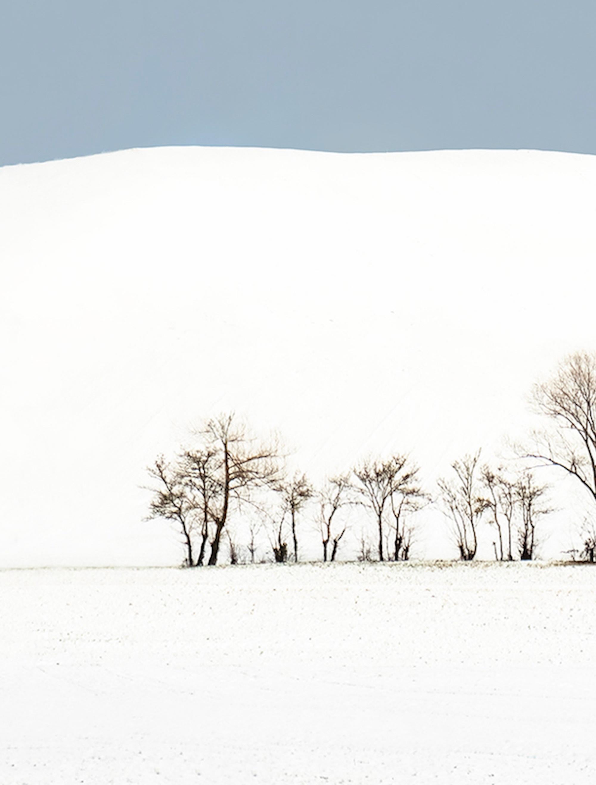 VI 20-22 by Riccardo Varini - Landscape photography, winter, snow, trees, Italy 3
