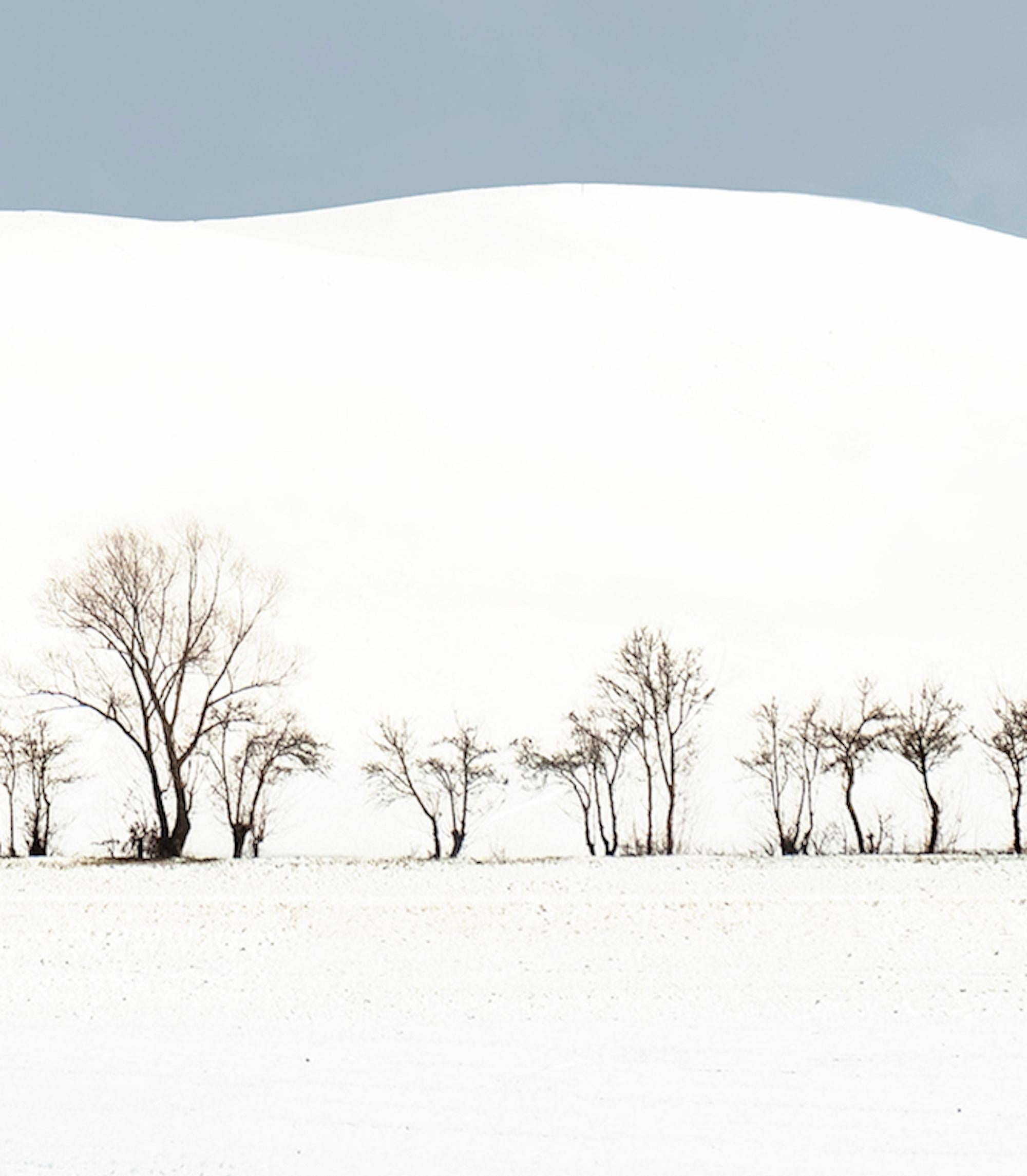 VI 20-22 by Riccardo Varini - Landscape photography, winter, snow, trees, Italy 4