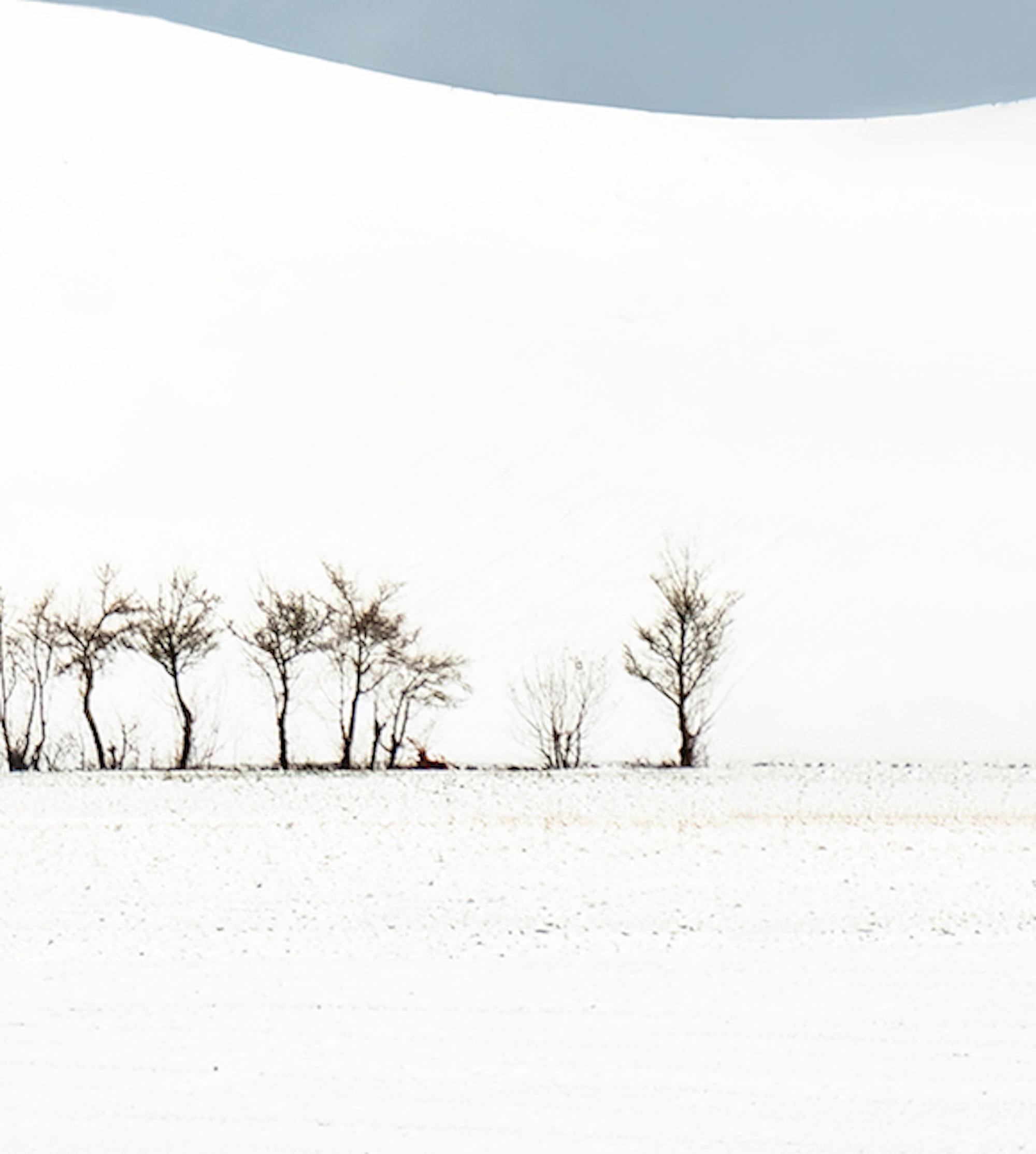 VI 20-22 by Riccardo Varini - Landscape photography, winter, snow, trees, Italy 5