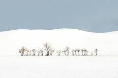VI 20-22 de Riccardo Varini - Photographie de paysage, hiver, neige, arbres, Italie
