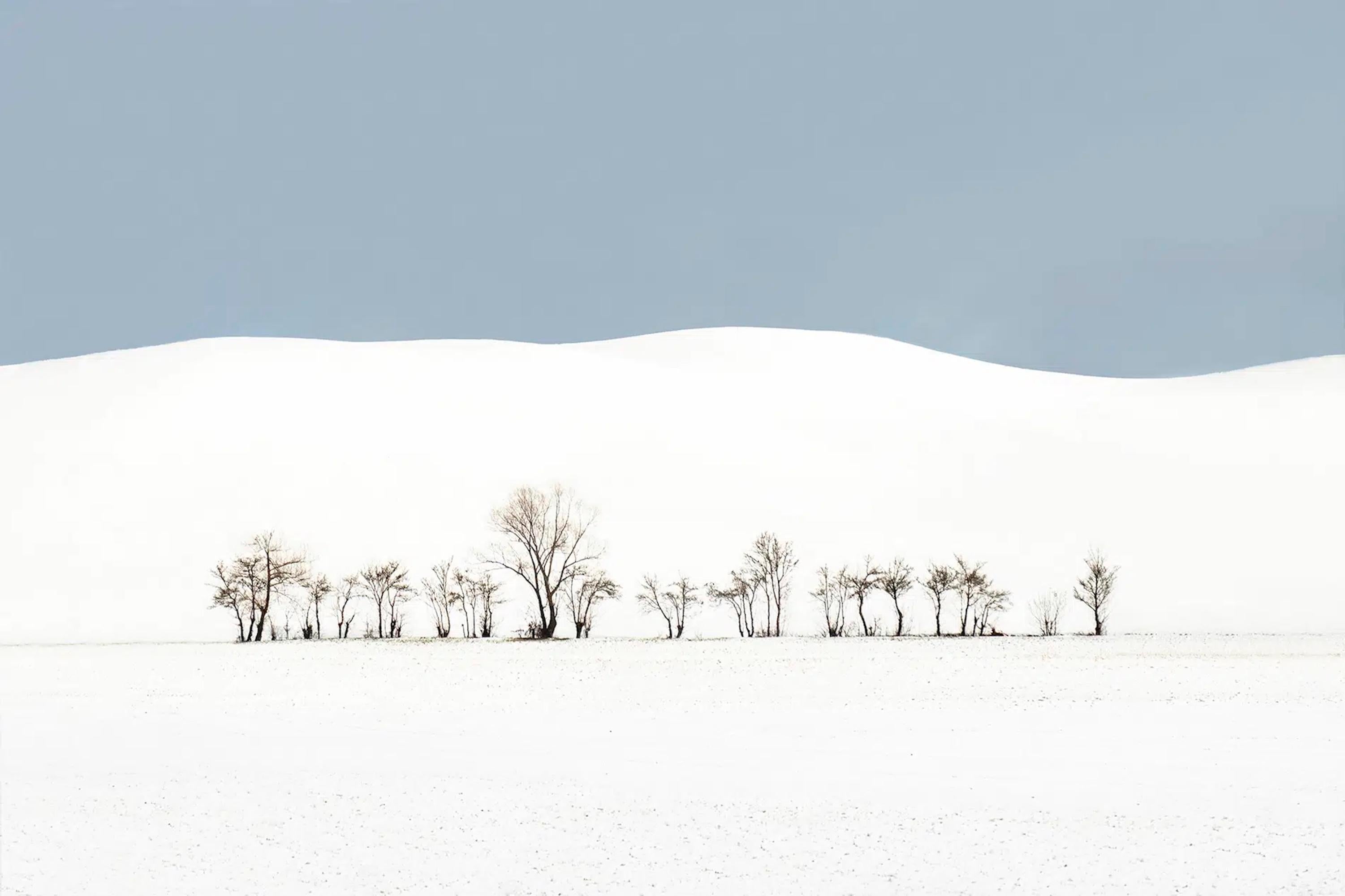 Riccardo Varini: VI 20-22, Landschaftsfotografie, Winter, Schnee, Bäume, Italien