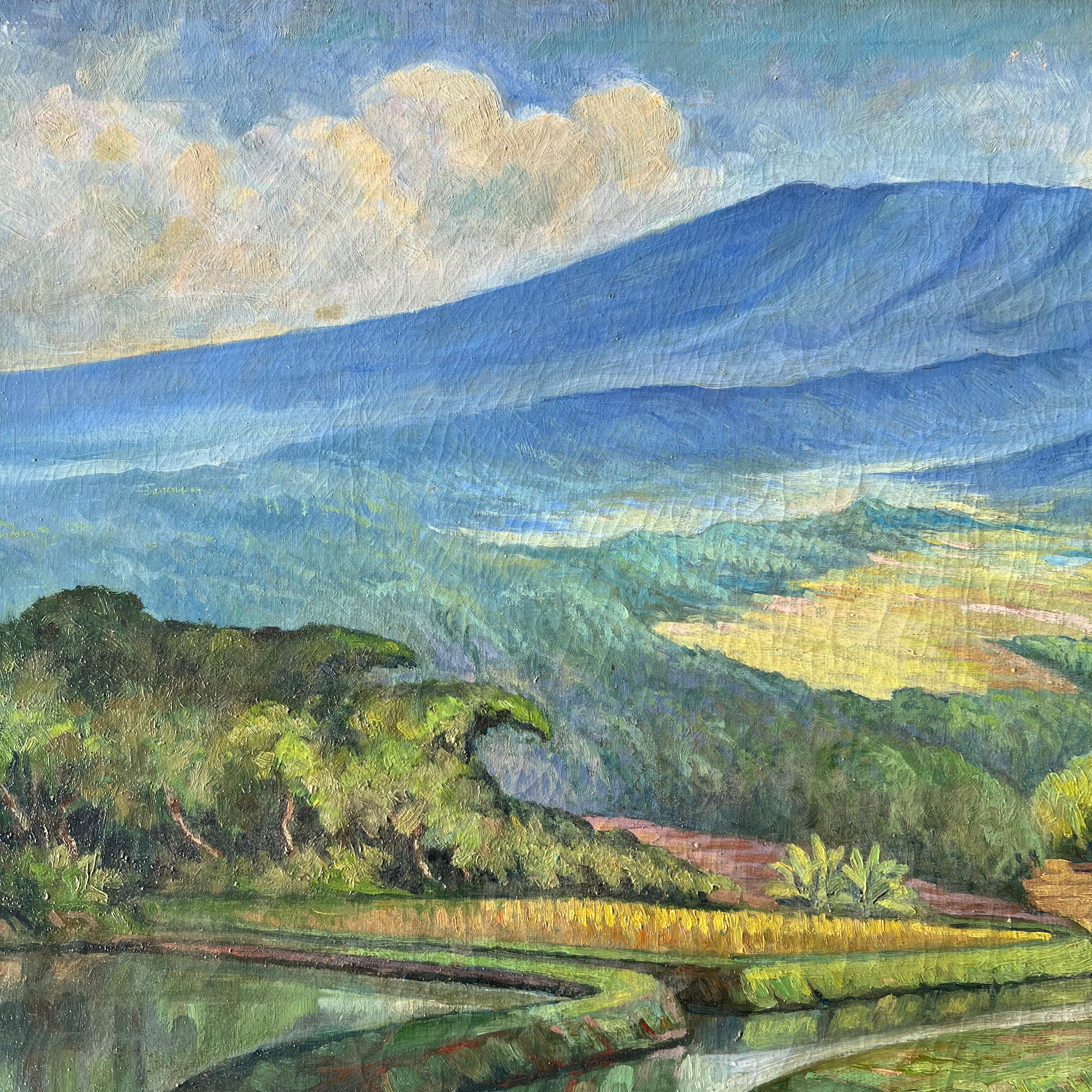 Other Rice Fields on Bali - Oil on canvas For Sale