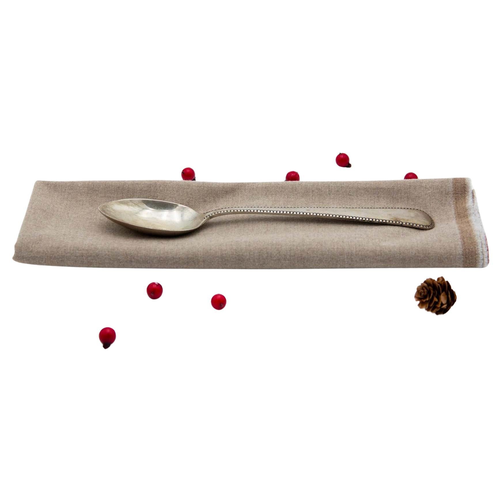 Rice spoon and serving dish in silver with beaded trim along the handle