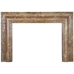 Rich and Antique Colourful Marble Bolection Fireplace Surround