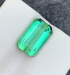 Rich Color 5.70 Carat Loose Mint Green Tourmaline Gemstone From Kunar Mine