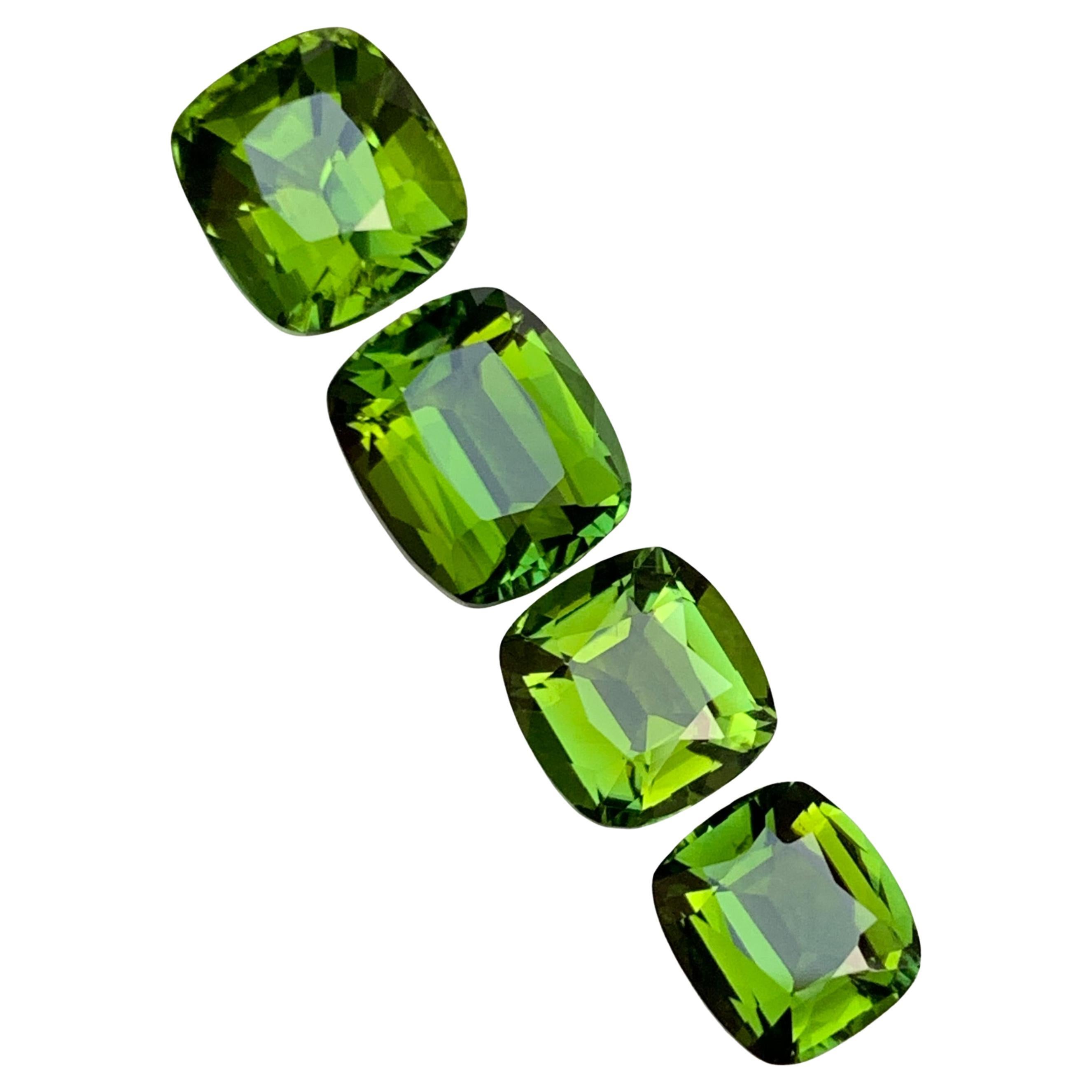 Pierres précieuses de tourmaline naturelle vert profond olive vert sous-ton Lot 8,55 carats