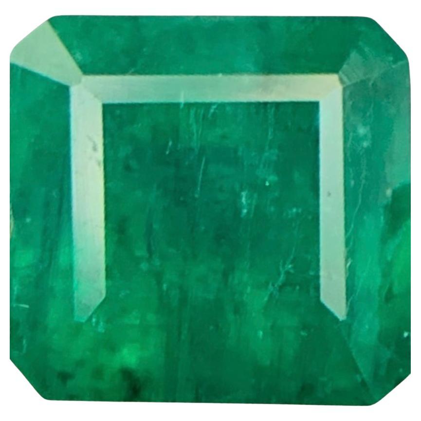Rich Green Natural Colombian Emerald Ring Loose Gemstone 1.20 Ct Octagon