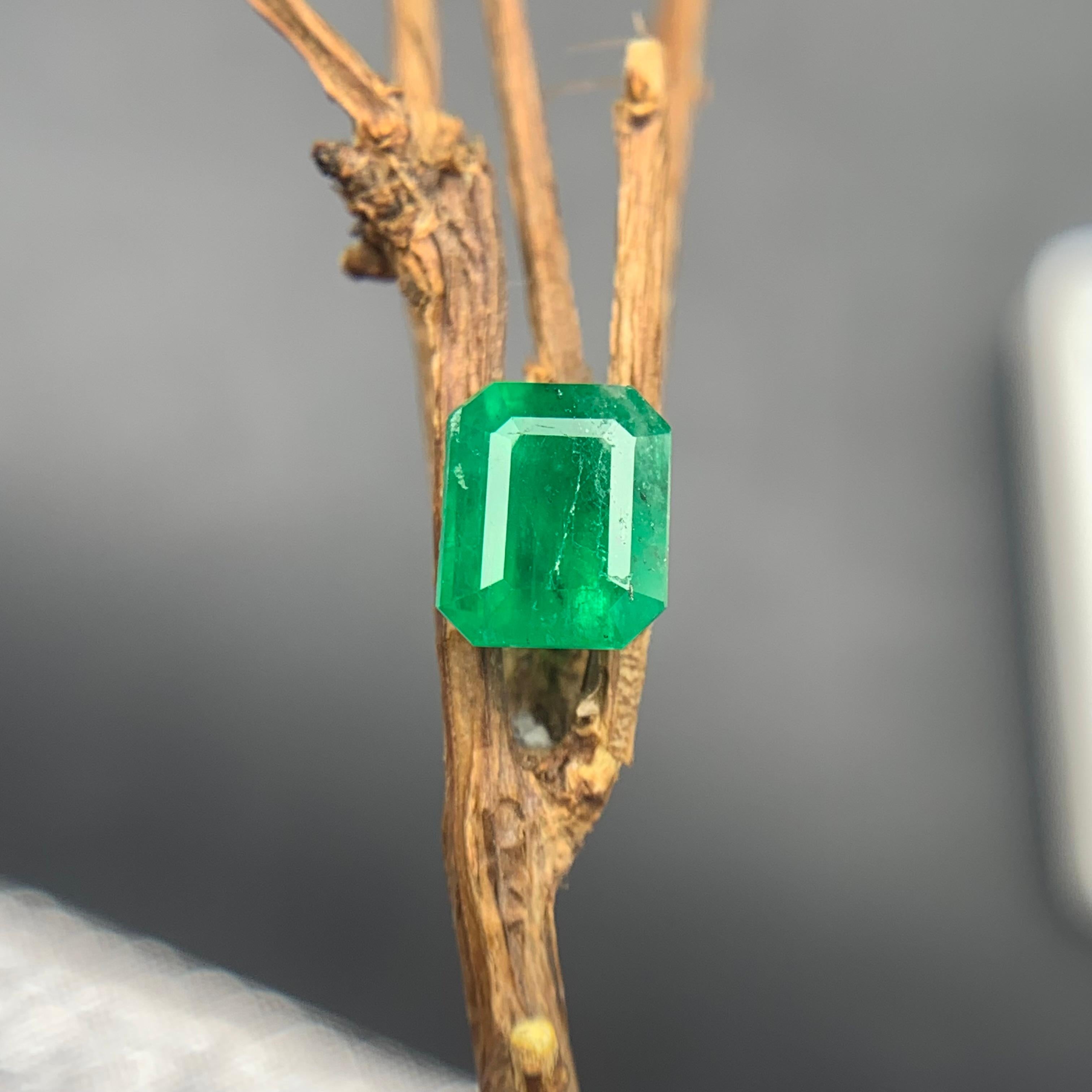Rich Green Natural Emerald Ring Loose Gemstone 1.20 Ct Octagon Cut for Jewelry For Sale 4