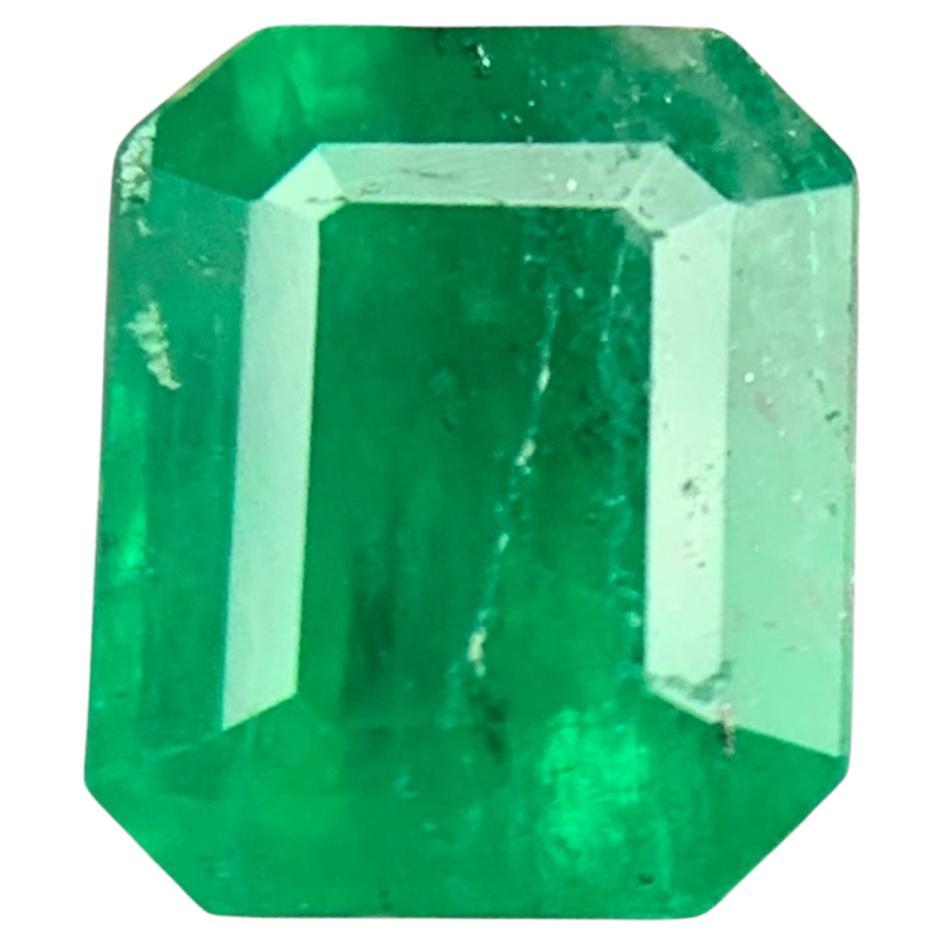 Rich Green Natural Emerald Ring Loose Gemstone 1.20 Ct Octagon Cut for Jewelry