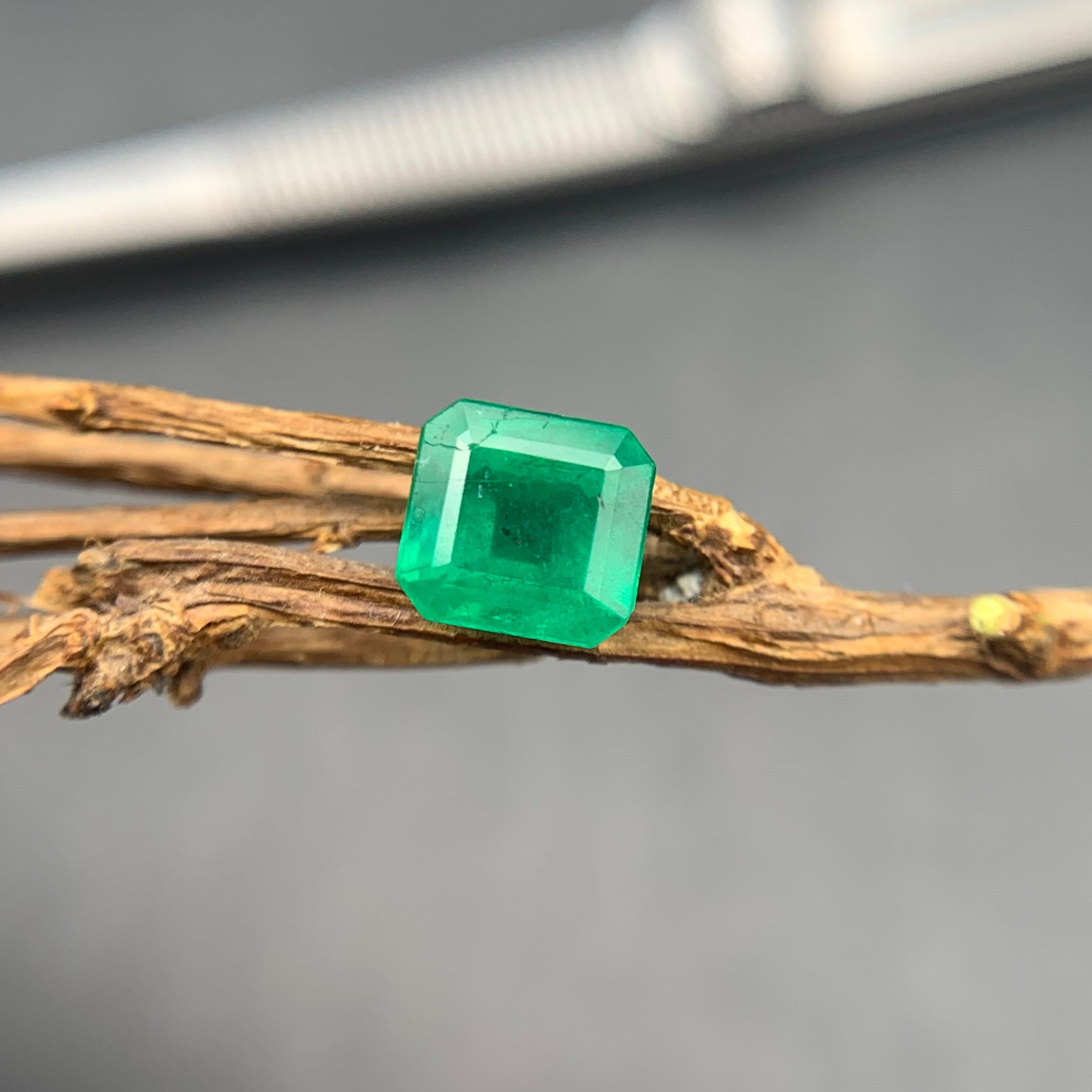 Rich Green Natural Emerald Ring Loose Gemstone 1.35 Ct Octagon Emerald Cut-Jewel For Sale 4