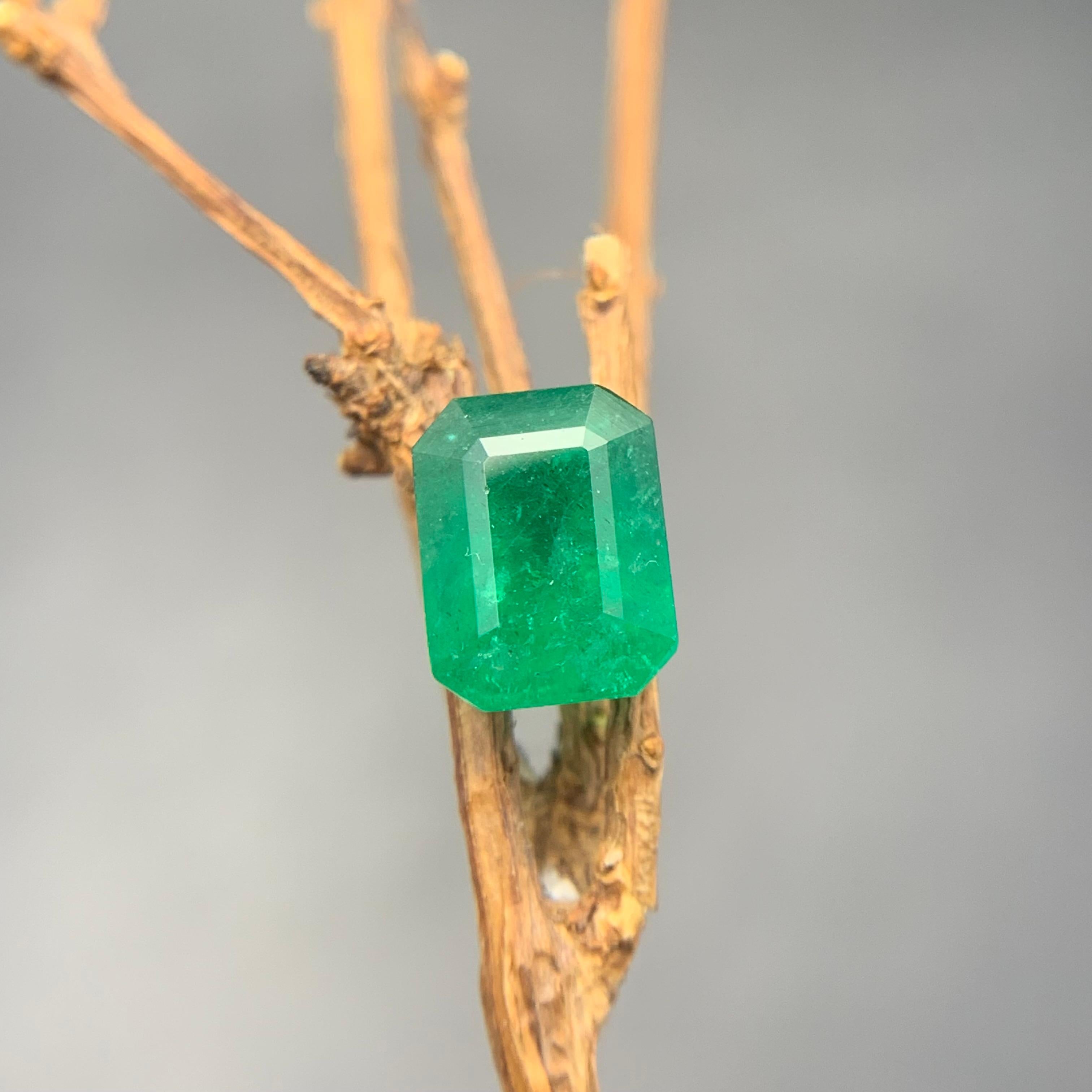 Rich Green Natural Emerald Ring Loose Gemstone 2.05 Ct Octagon Cut for Jewelry For Sale 7