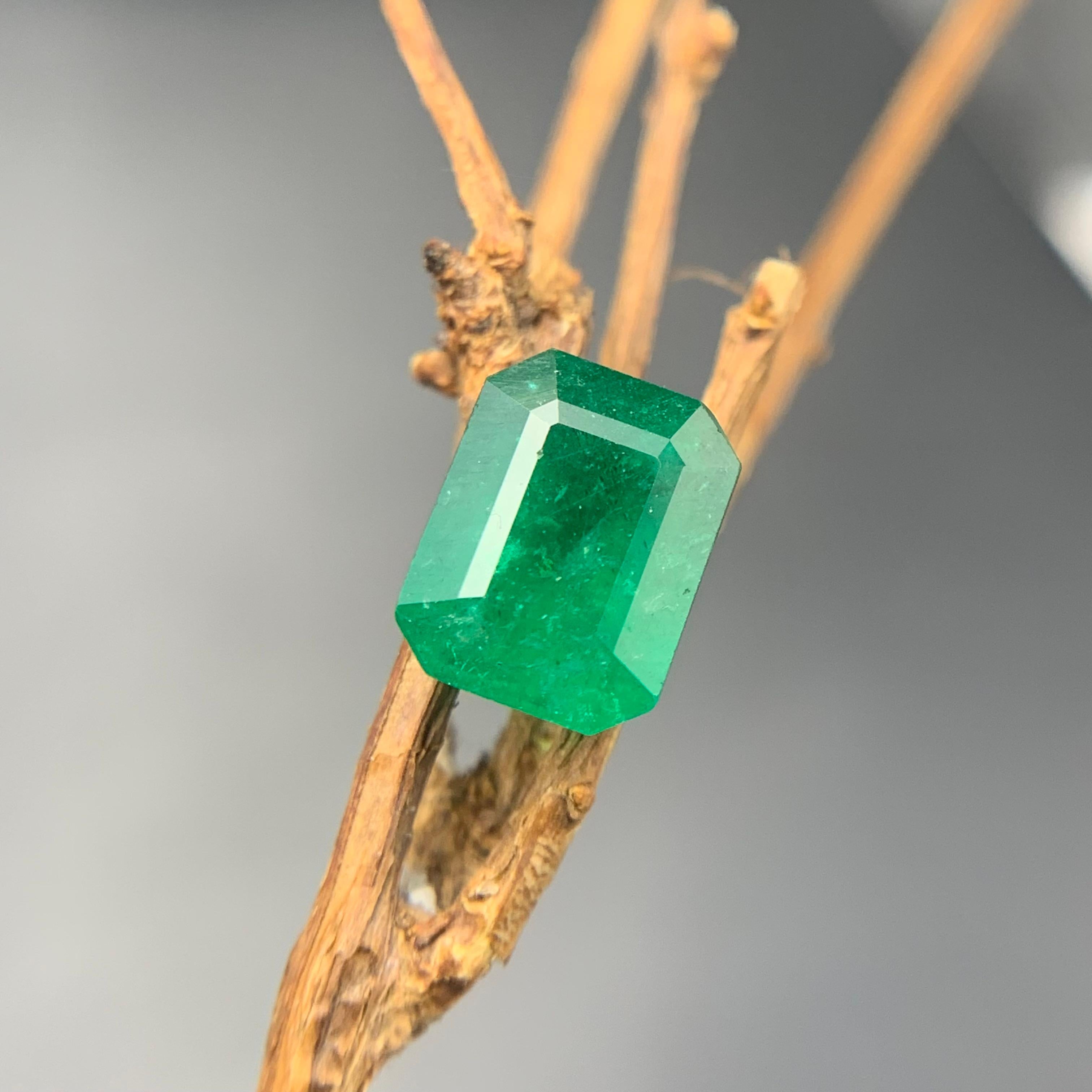Emerald Cut Rich Green Natural Emerald Ring Loose Gemstone 2.05 Ct Octagon Cut for Jewelry For Sale