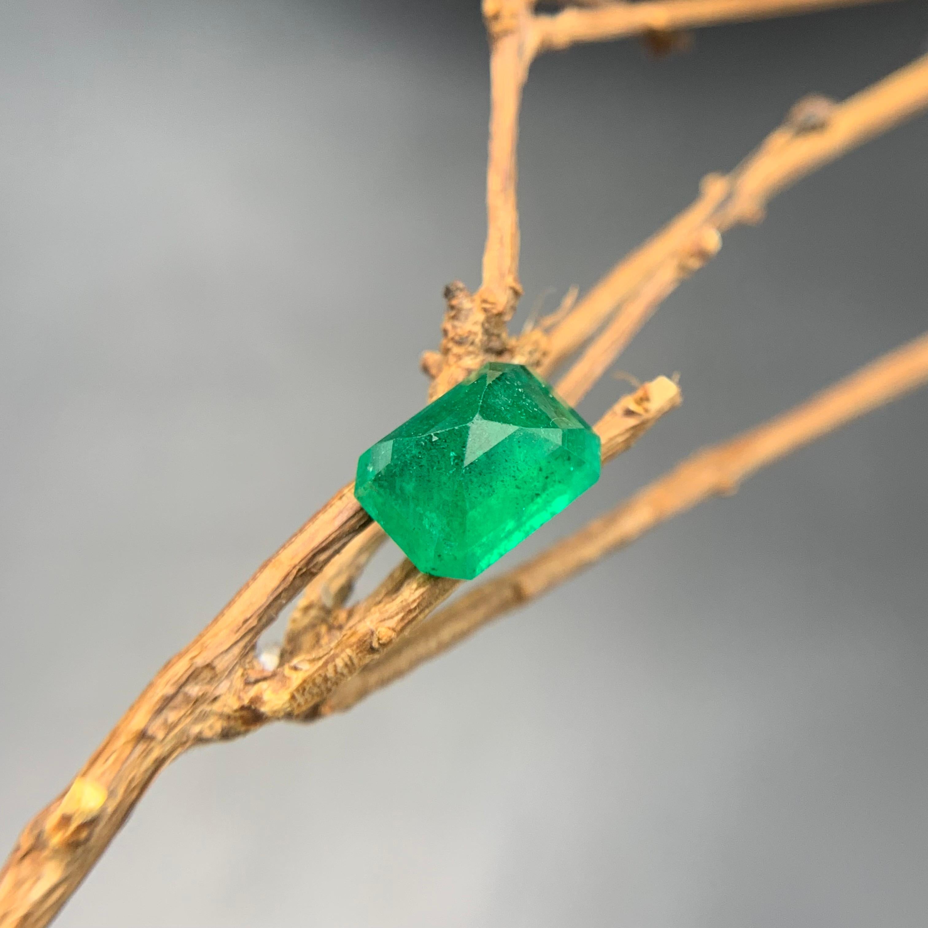 Rich Green Natural Emerald Ring Loose Gemstone 2.05 Ct Octagon Cut for Jewelry For Sale 2
