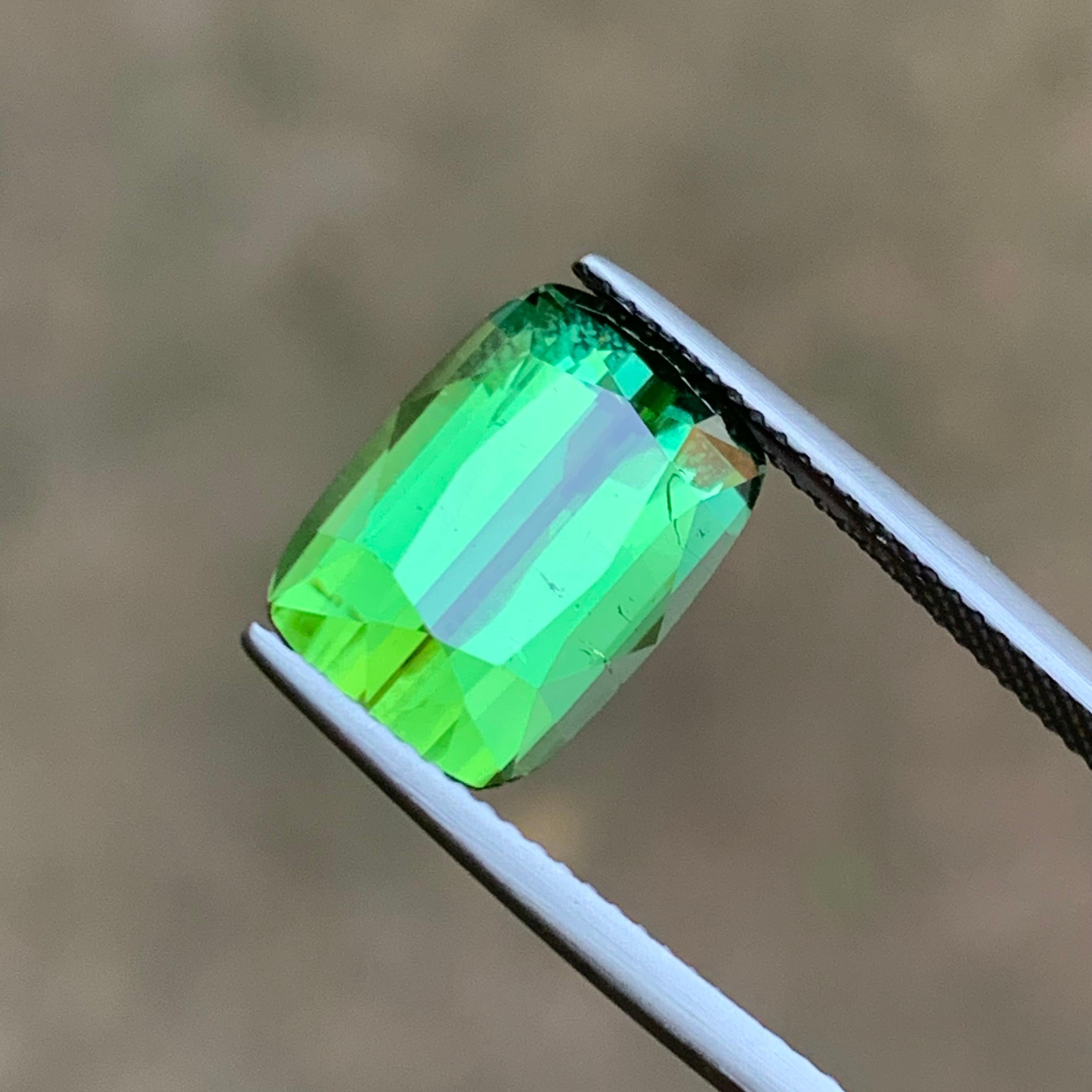 Rich Green Natural Tourmaline Gemstones 12.70 Ct Cushion Cut  Earrings Jewelry For Sale 6