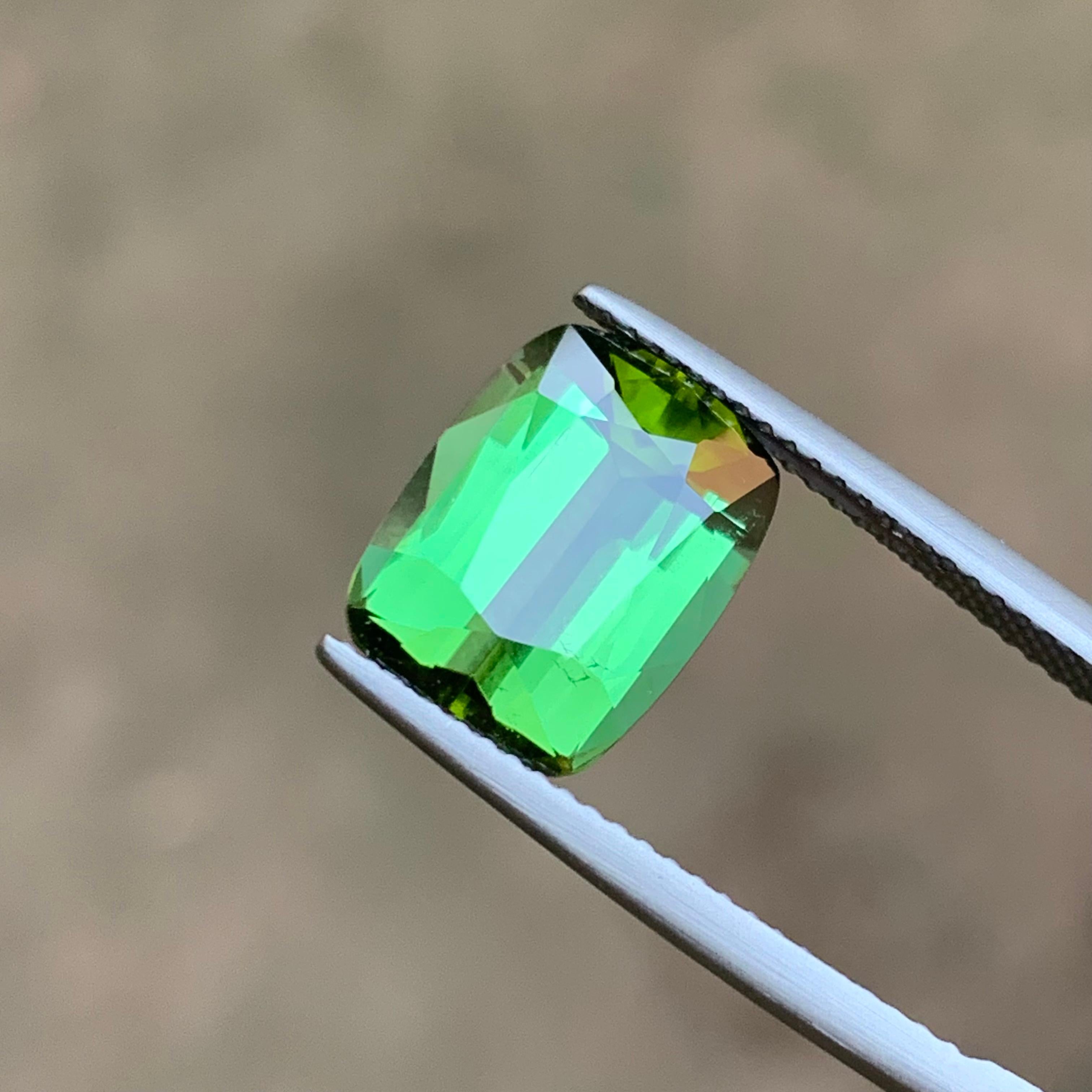 Rich Green Natural Tourmaline Gemstones 12.70 Ct Cushion Cut  Earrings Jewelry For Sale 9