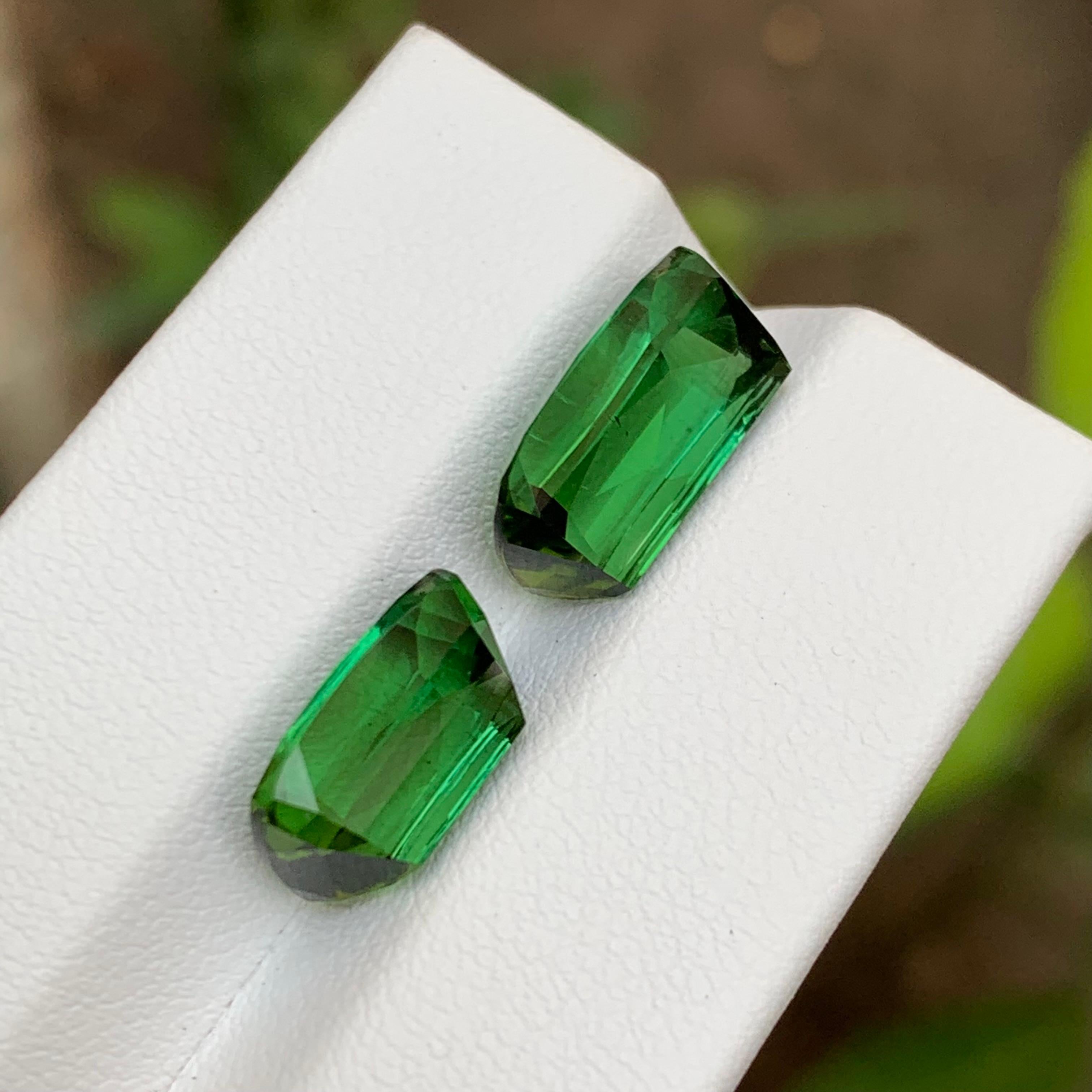 Women's or Men's Rich Green Natural Tourmaline Gemstones 12.70 Ct Cushion Cut  Earrings Jewelry For Sale