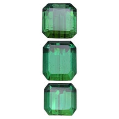 Rich Green Natural Tourmaline Loose Gemstones Lot 12.10 Carat for Jewelry Making