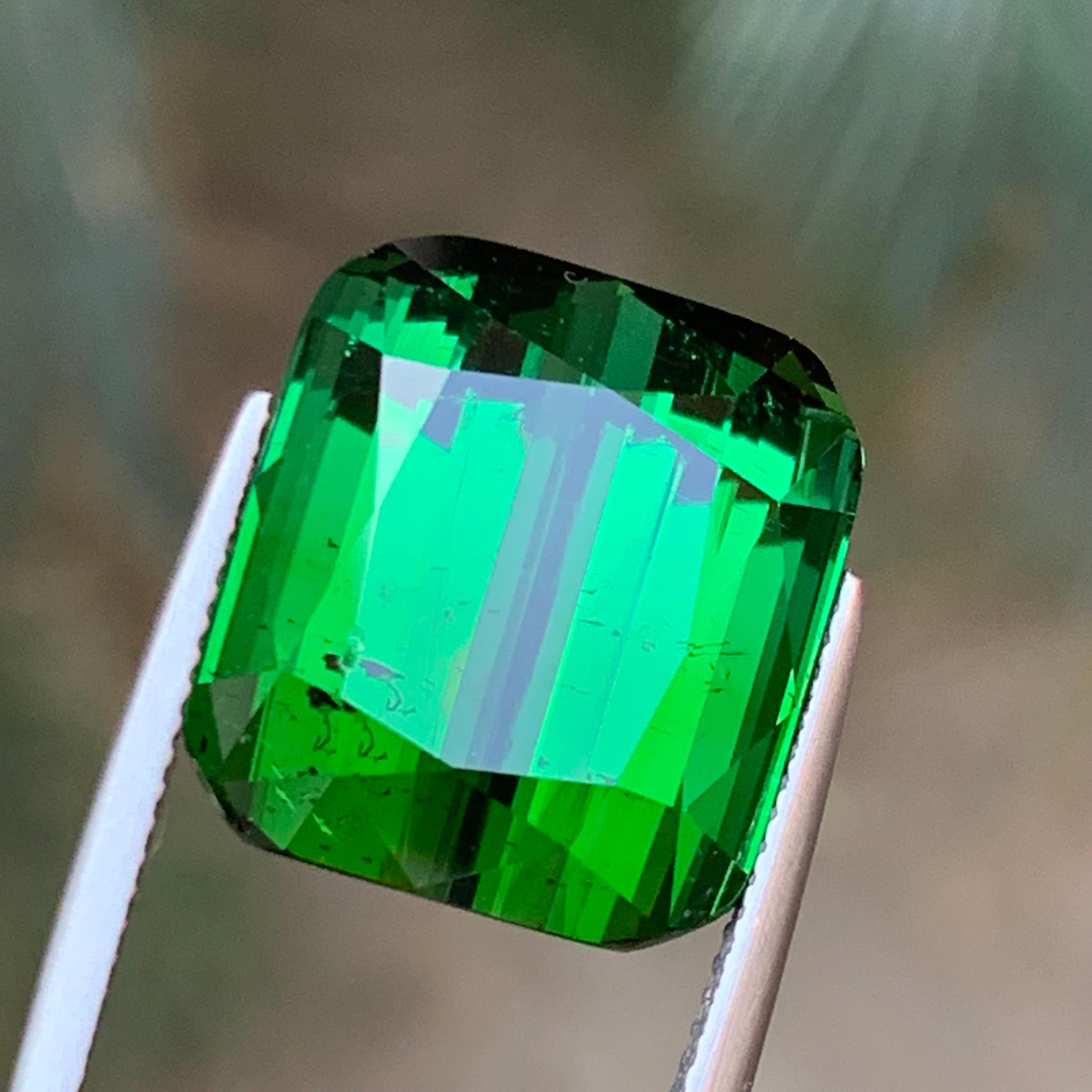 Rich Green Natural Tourmaline Necklace Pendant, Bracelet Loose Gemstone 26.35 Ct 4