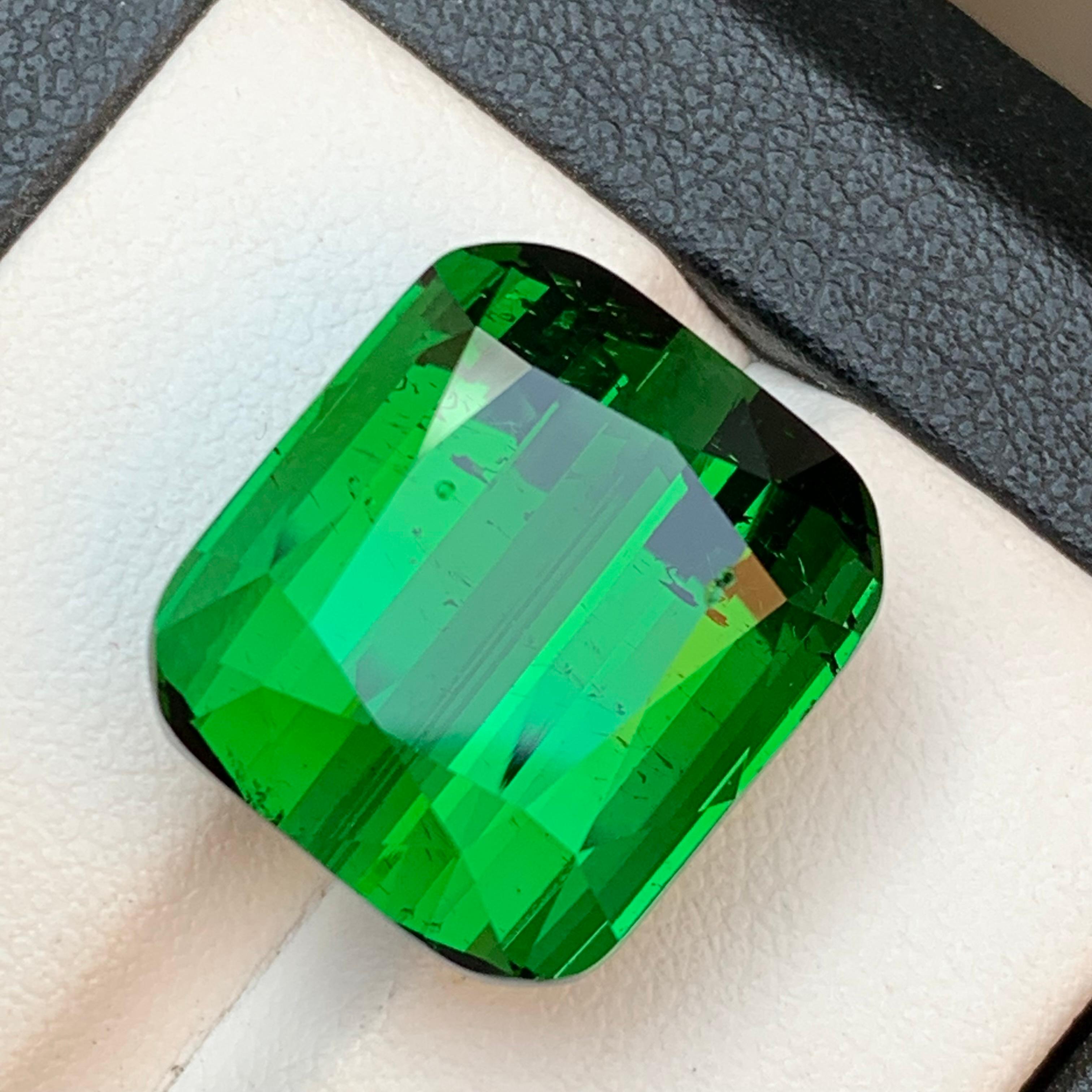 Rich Green Natural Tourmaline Necklace Pendant, Bracelet Loose Gemstone 26.35 Ct 6
