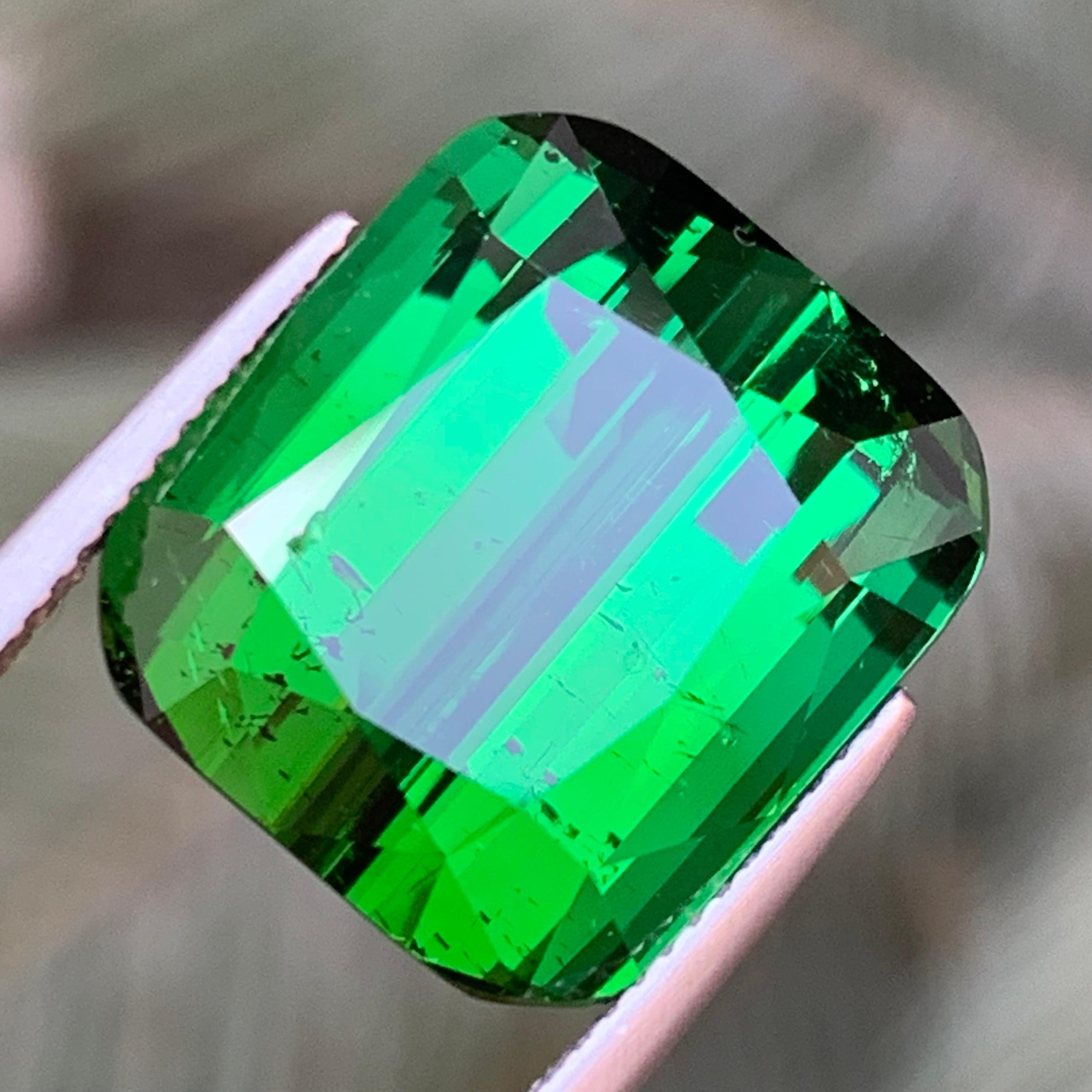 Contemporary Rich Green Natural Tourmaline Necklace Pendant, Bracelet Loose Gemstone 26.35 Ct