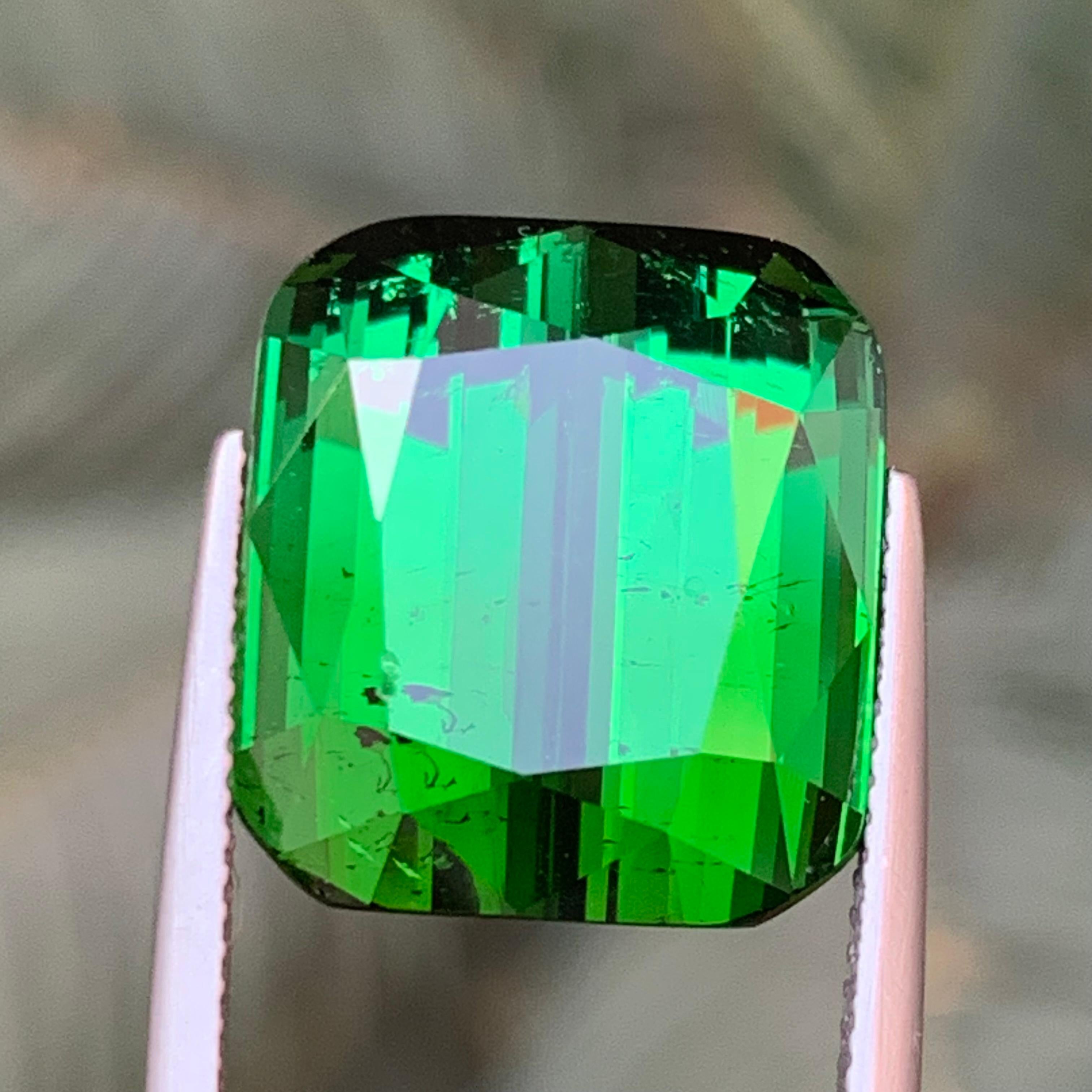 Rich Green Natural Tourmaline Necklace Pendant, Bracelet Loose Gemstone 26.35 Ct 2