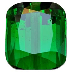 Rich Green Natural Tourmaline Necklace Pendant, Bracelet Loose Gemstone 26.35 Ct