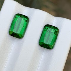 Coppia di tormaline naturali verde ricco da 6,82 carati con taglio a cuscino - Orecchini