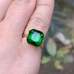 Rich Green Tourmaline 8.78 Ct Cushion Cut Natural Loose Gemstone for Ring -Jewel