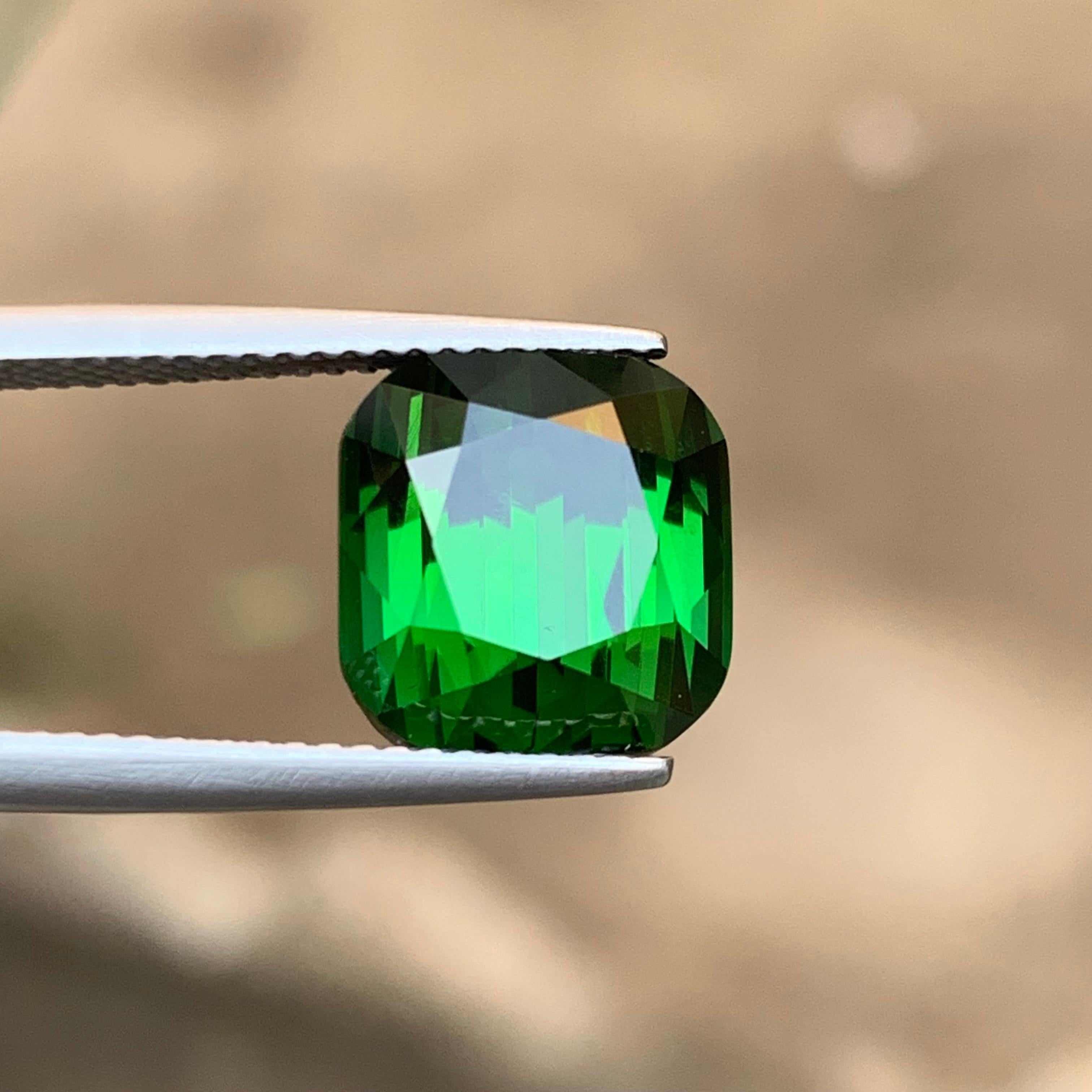 Reicher grüner Turmalin 8,78 Ct Kissenschliff Natürlicher loser Edelstein für Ring -Juwel im Angebot 1