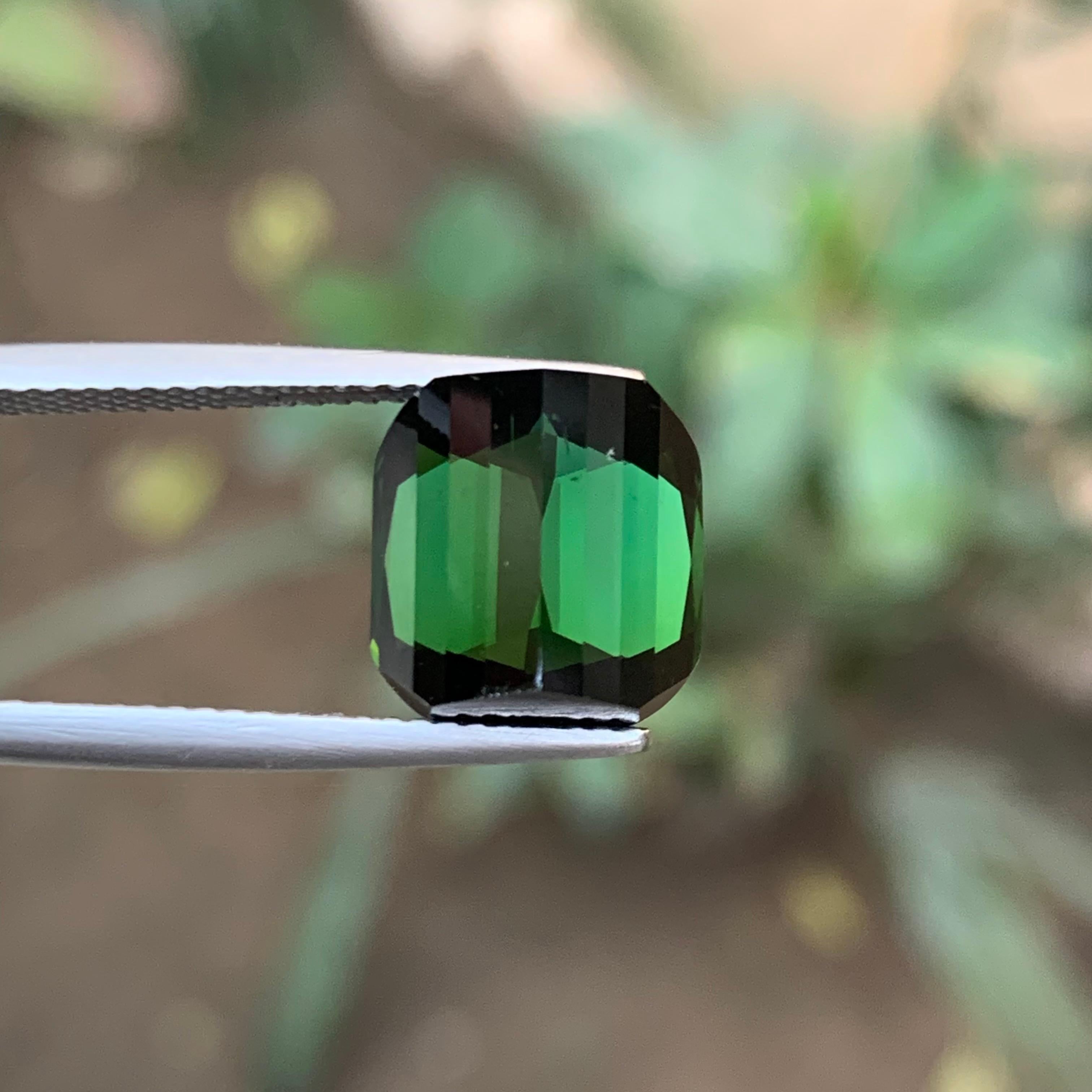 Reicher grüner Turmalin 8,78 Ct Kissenschliff Natürlicher loser Edelstein für Ring -Juwel im Angebot 2