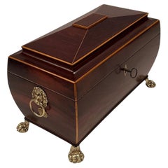 Rich Mahogany Regency Style Tea Caddie with Inlay and Brass Lion Rings