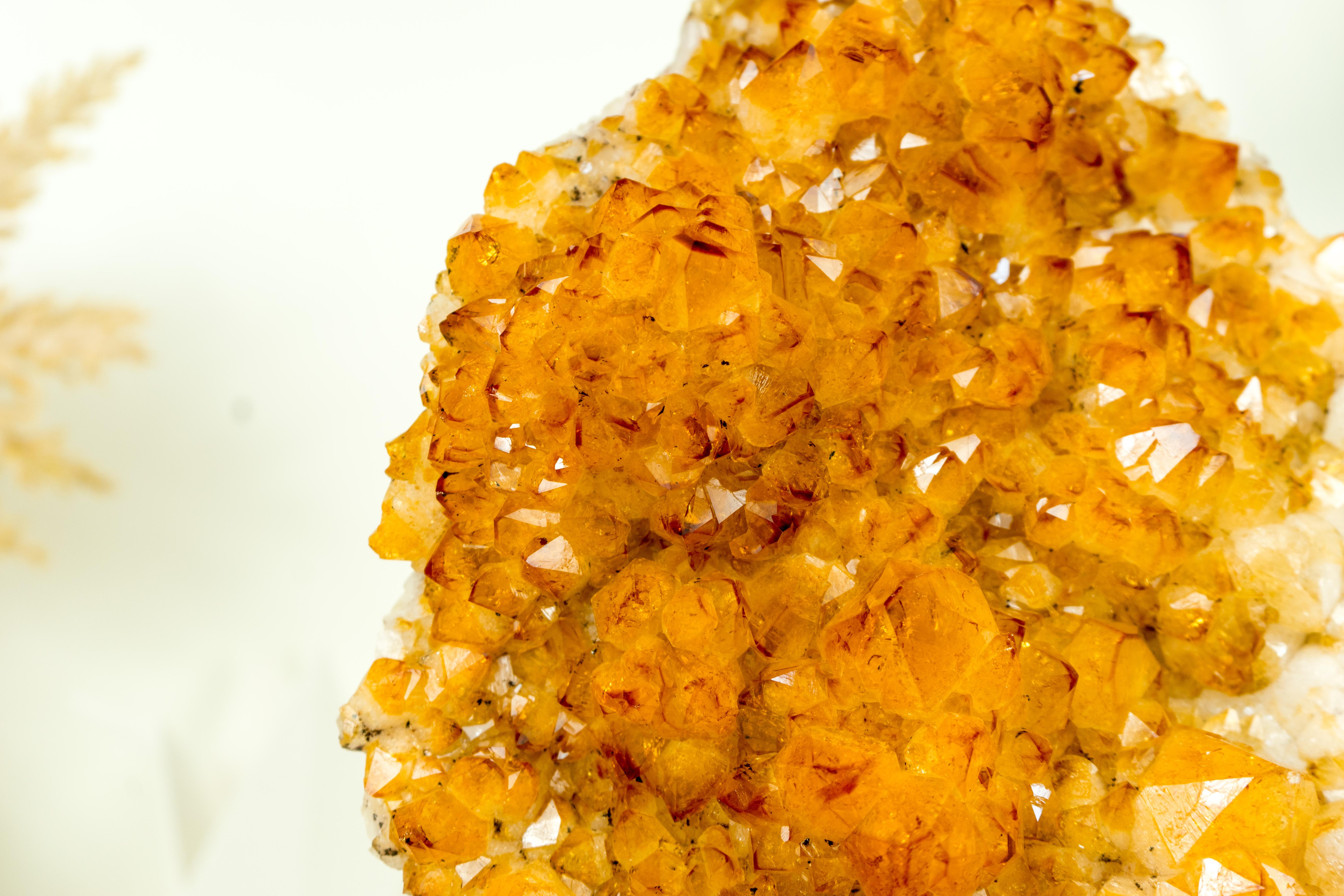 Rich Yellow Citrine Cluster with Rosette Flowers Druzy on Stand for Decor 5