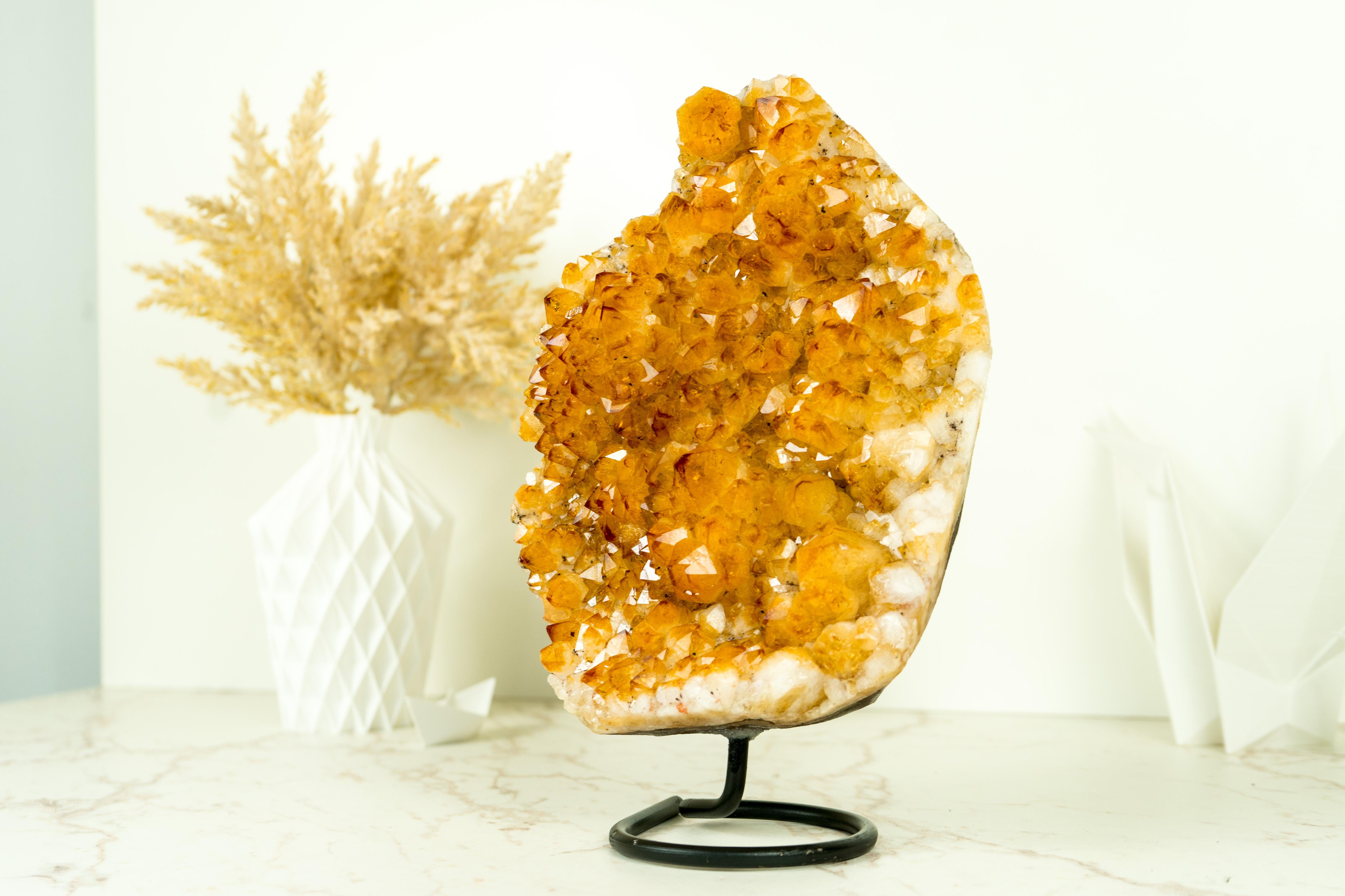Rich Yellow Citrine Cluster with Rosette Flowers Druzy on Stand for Decor In Excellent Condition In Ametista Do Sul, BR