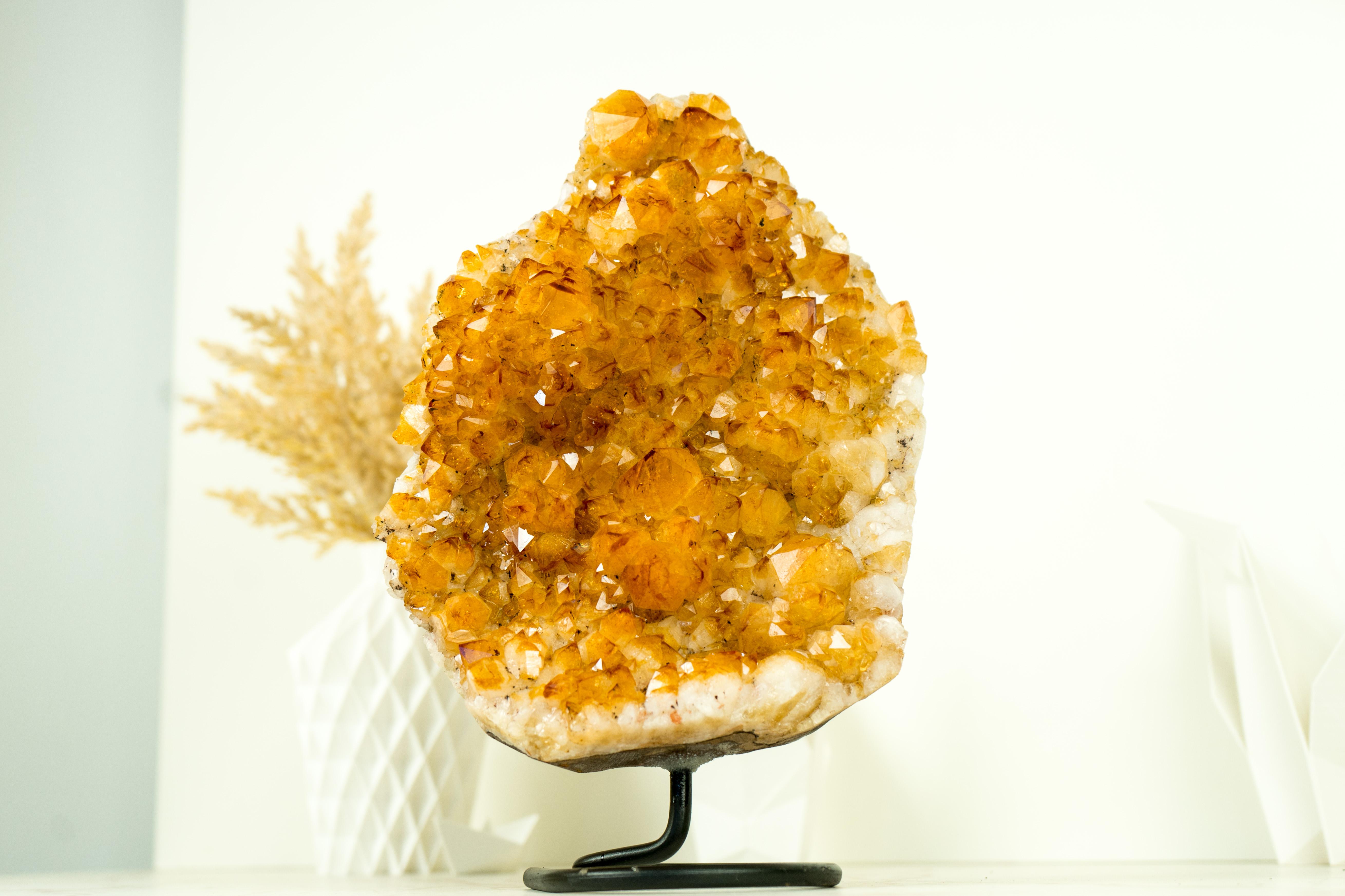 Contemporary Rich Yellow Citrine Cluster with Rosette Flowers Druzy on Stand for Decor