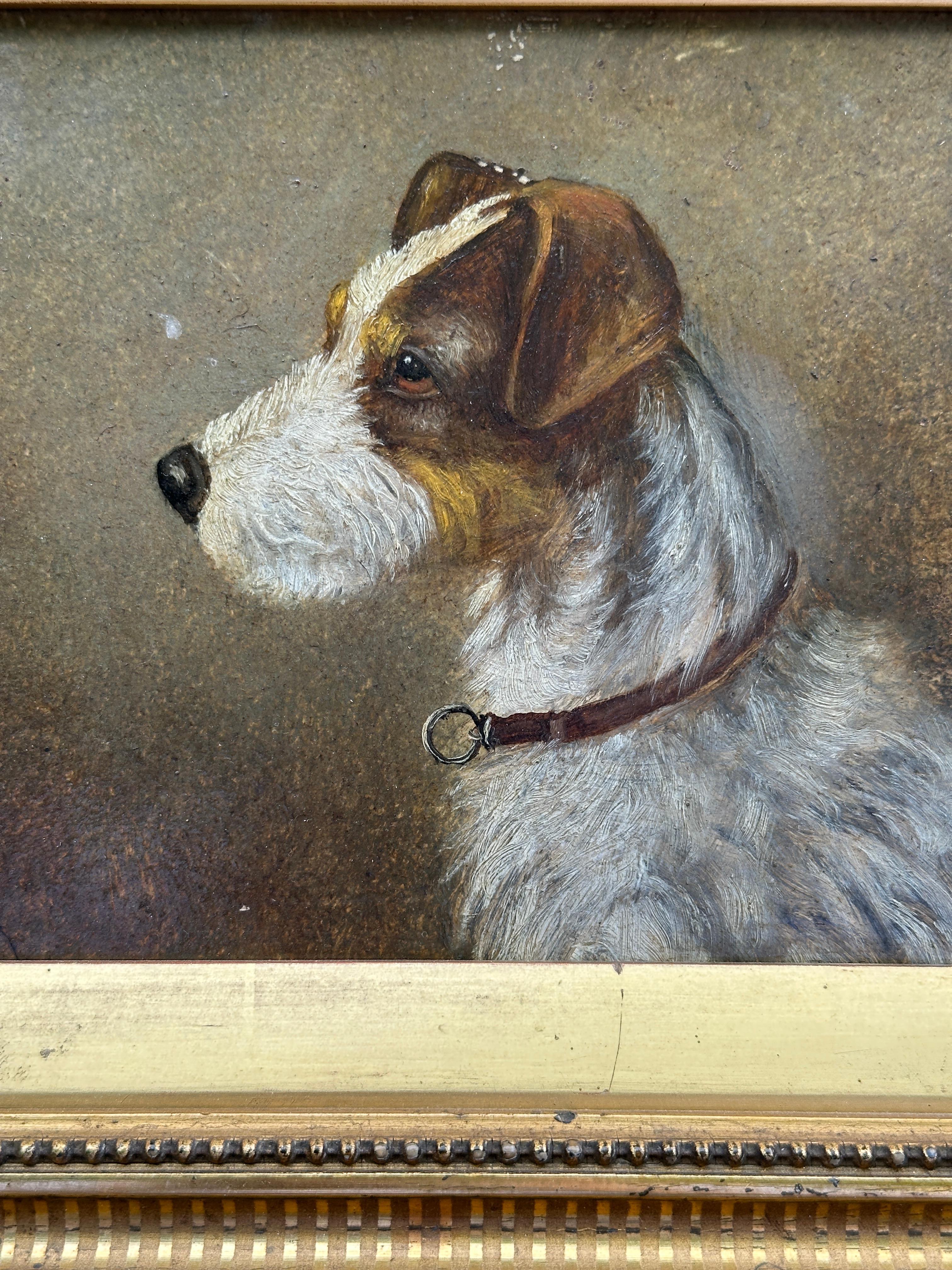 Portrait de chien anglais du 19e siècle, Jack Russell à poil dur dans son cadre d'origine - Painting de Richard Aistrop