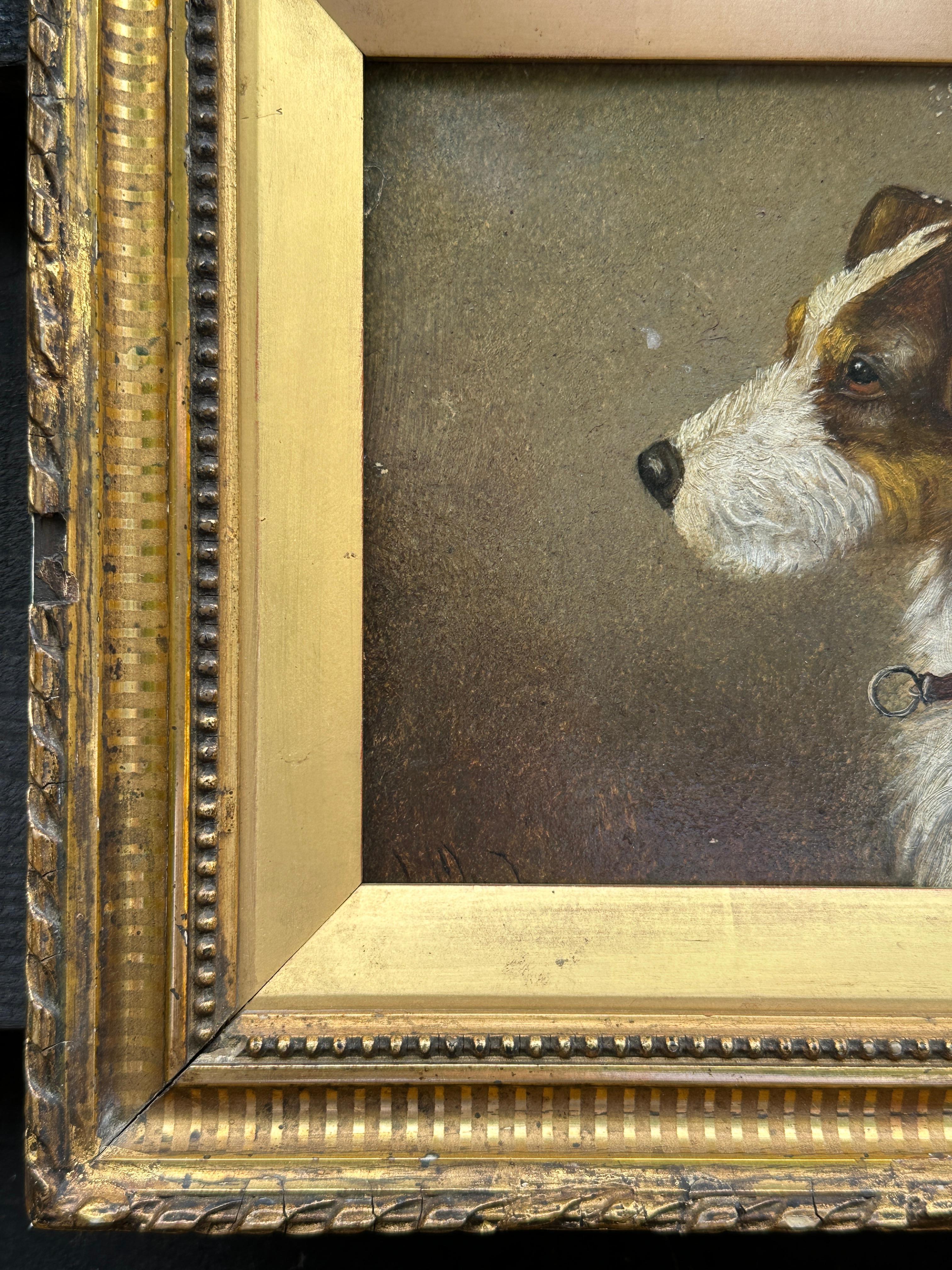 Portrait de chien anglais du 19e siècle, Jack Russell à poil dur dans son cadre d'origine en vente 2