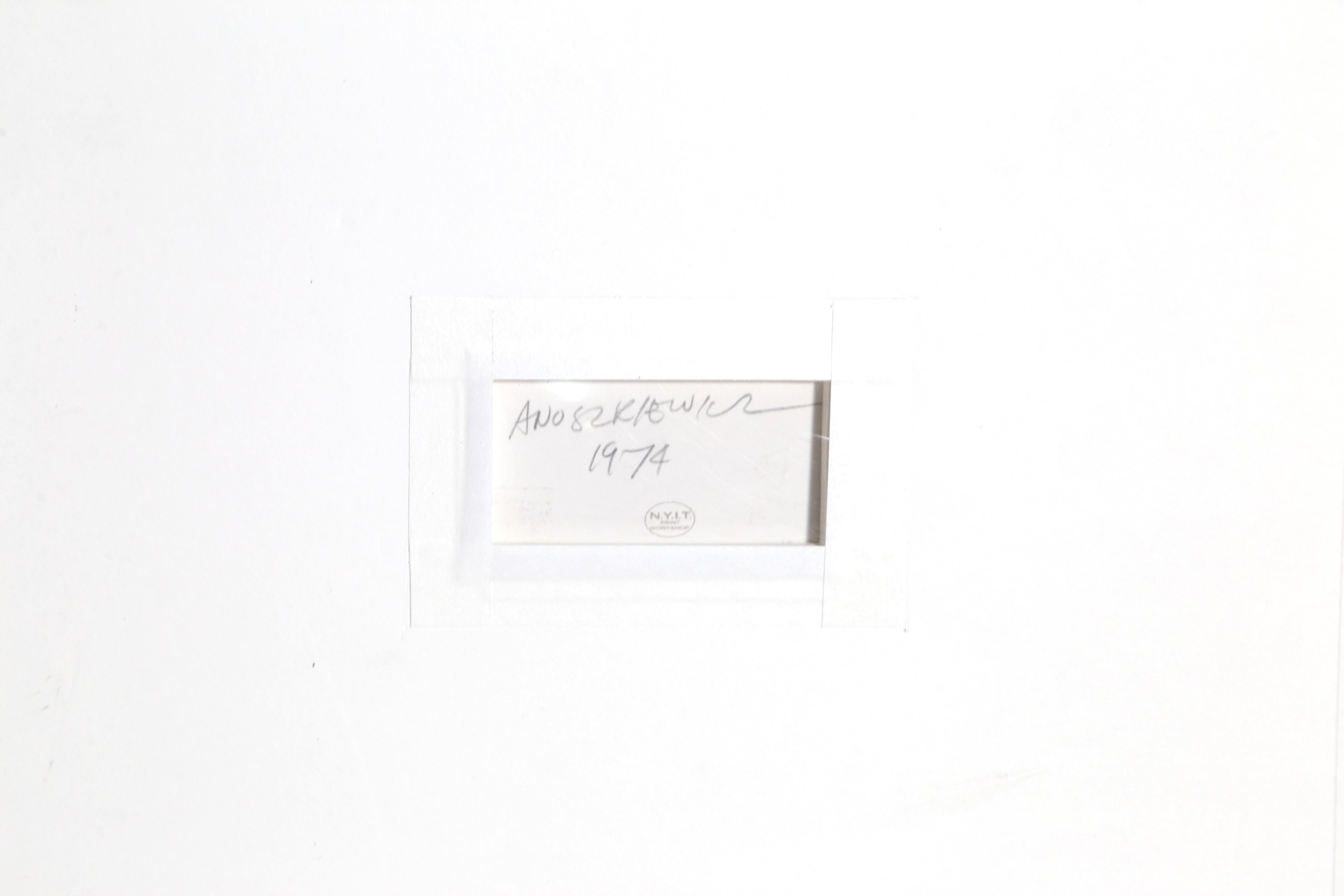 Annual Edition, OP Art Silkscreen by Anuszkiewicz 1974 - Op Art Print by Richard Anuszkiewicz