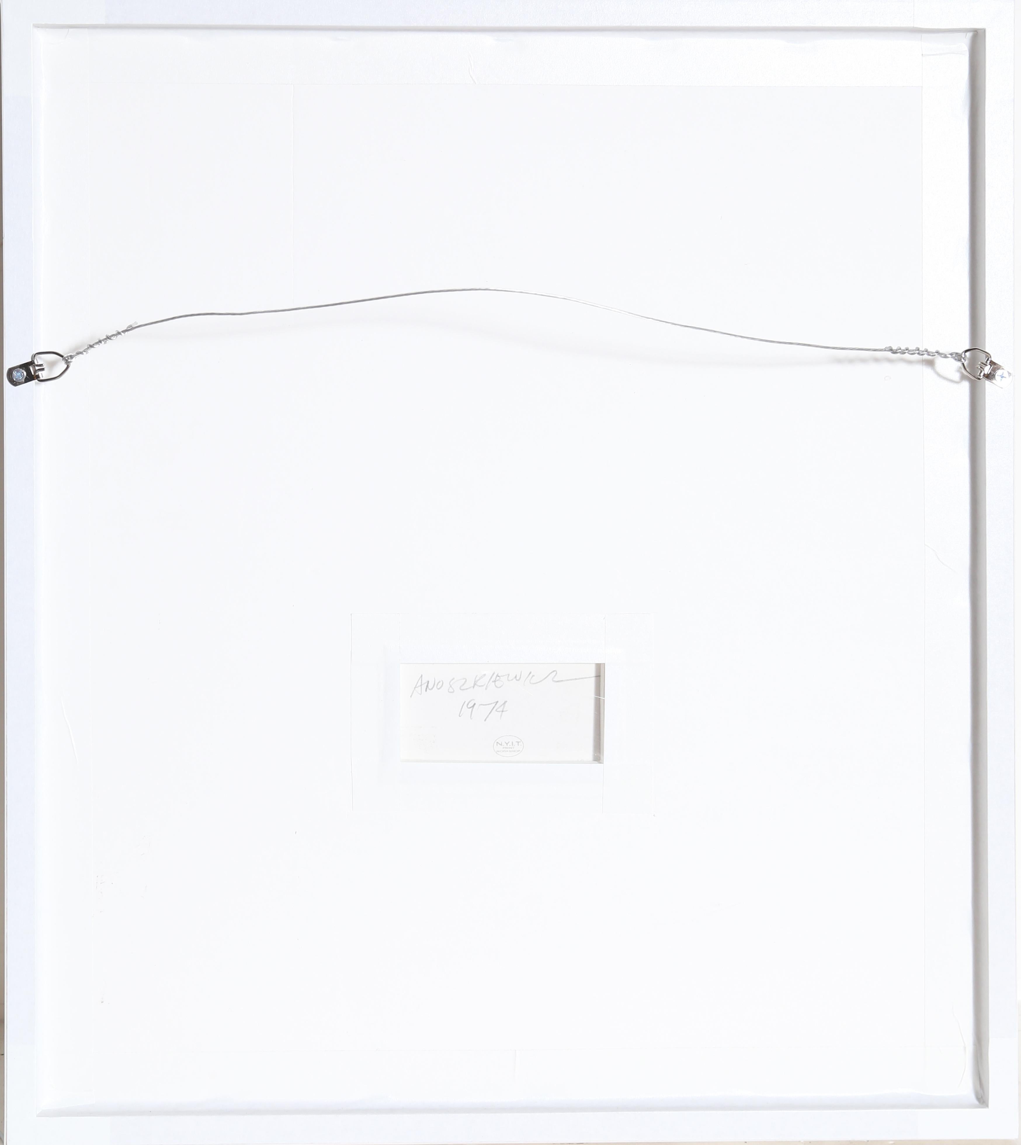 Annual Edition, OP Art Silkscreen by Anuszkiewicz 1974 - Brown Abstract Print by Richard Anuszkiewicz