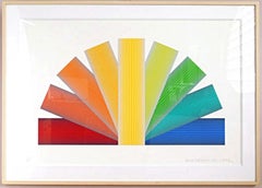 Grey tinted Rainbow (Geometric Abstraction) dazzling Op Art framed assemblage