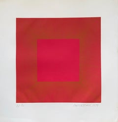 Large Op Art Kinetic Print Geometric Abstract Silkscreen Serigraph Pop Art Litho