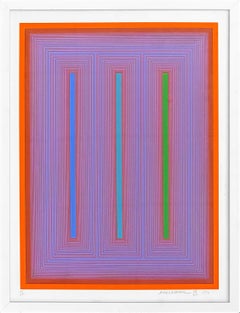 Sequential IX, Hand Signed Screen Print, Edition 189/200, Framed, 1972