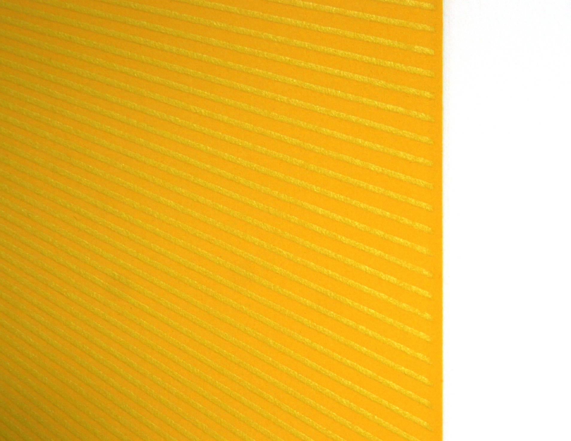 Spring Suite (Yellow with Yellow), OP Art Etching by Anuszkiewicz - Print by Richard Anuszkiewicz