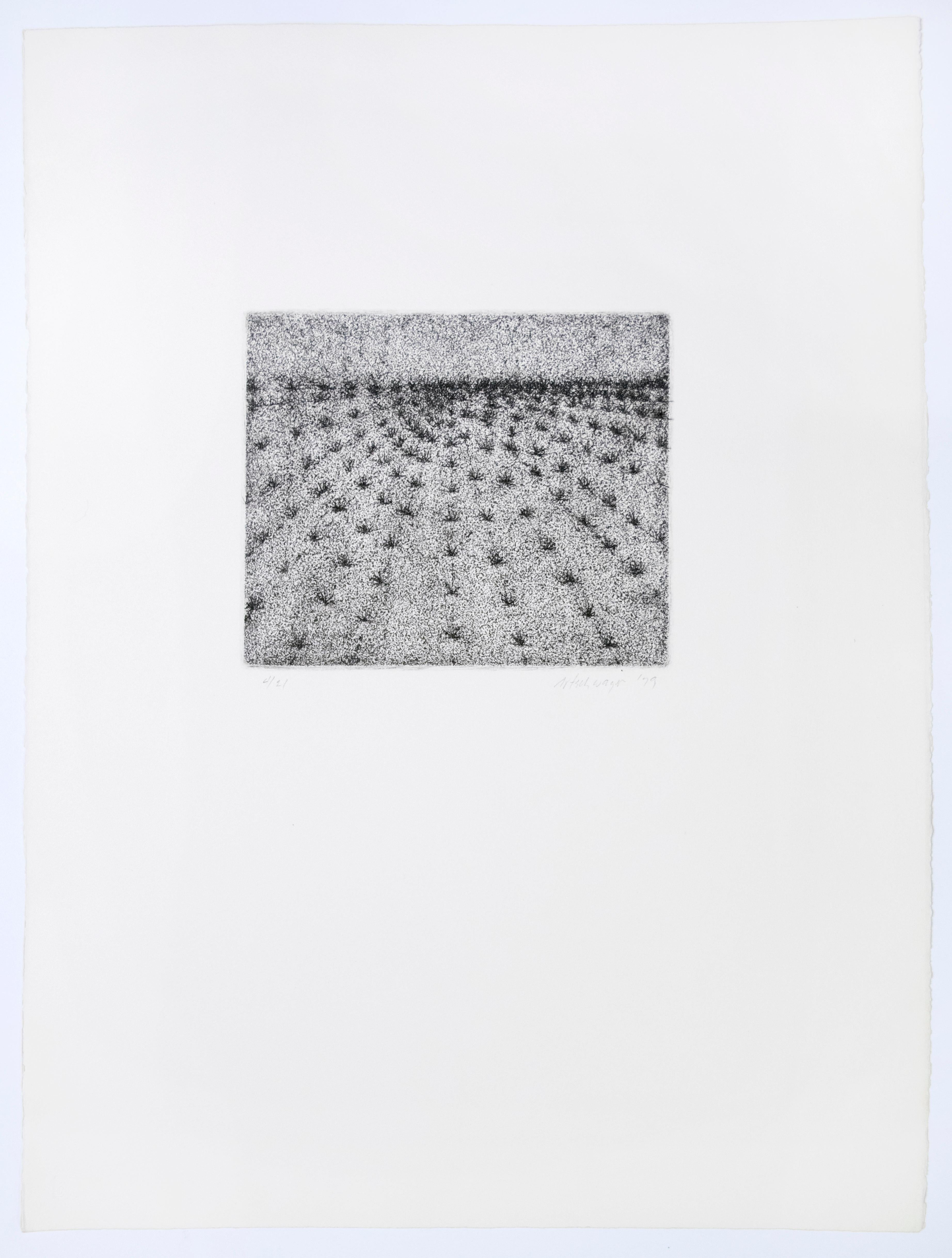 Richard Artschwager Landscape Print - Landscape