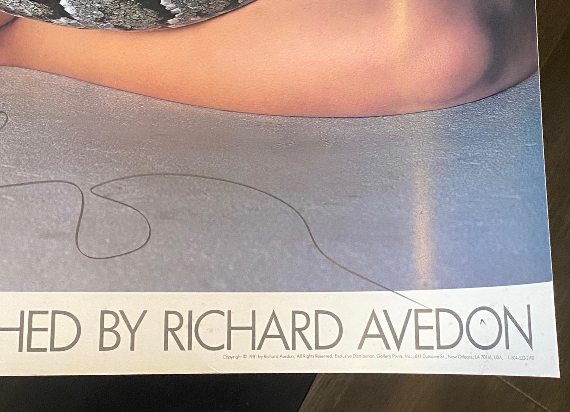 Richard Avedon Hand-Signed Vintage Poster Nastassja Kinski und die Schlange, 1981 im Angebot 4