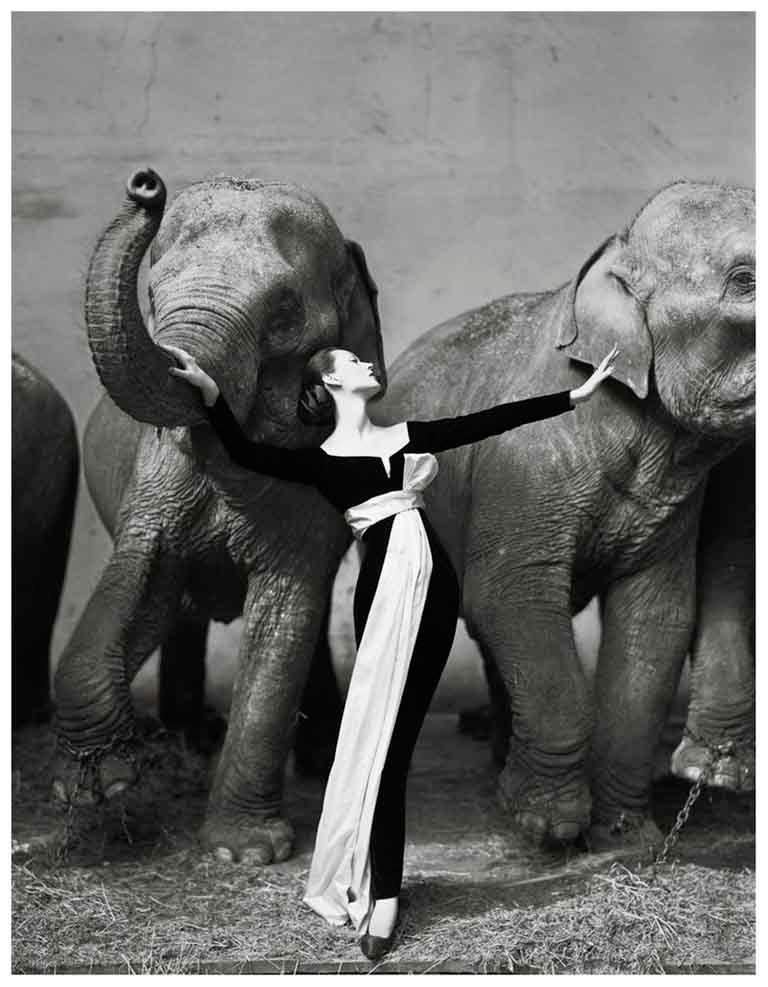 Dovima with Elephants, Evening Dress by Dior, Cirque d'Hiver, Paris, 1955 - Photograph by Richard Avedon