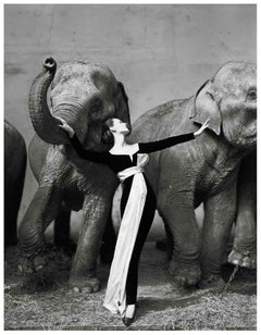Dovima with Elephants, Evening Dress by Dior, Cirque d'Hiver, Paris, 1955