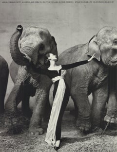 1978 After Richard Avedon 'Dovima with Elephants' Photography Offset Lithograph
