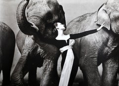 Dovima with Elephants, Poster signed by Richard Avedon