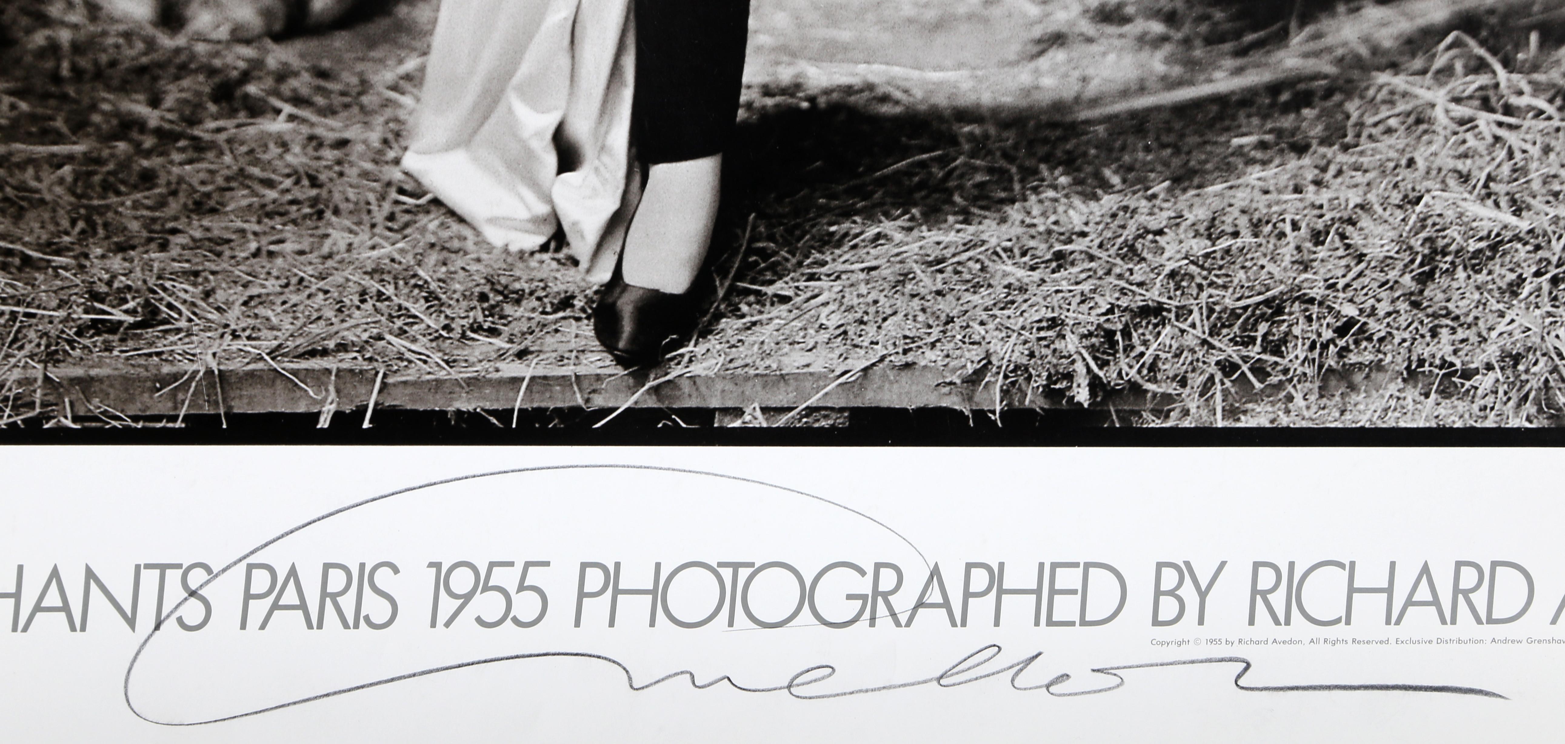 richard avedon elephant