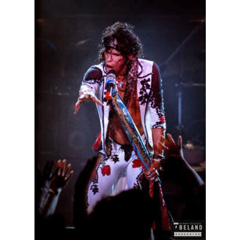 Richard Beland Color Photograph - Aerosmith - Pine Knob, Klarkstone, MI 1988